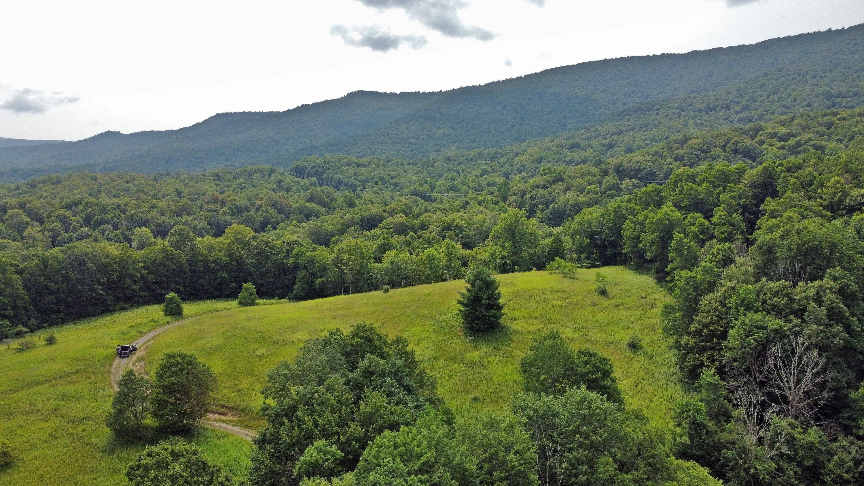 40.87 Acres, Lot D Dry Branch Rd, Slatyfork, WV 26291 Land and Farm