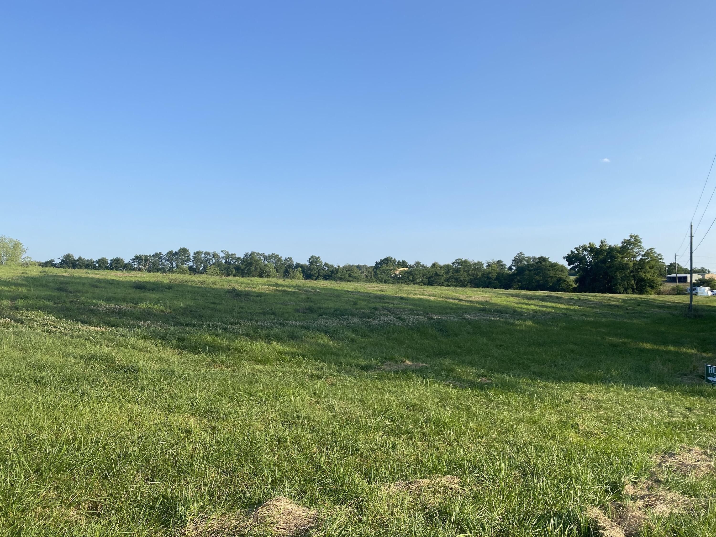 48 Acres, 0 Menefee Road, Crittenden, KY 41030 Land and Farm