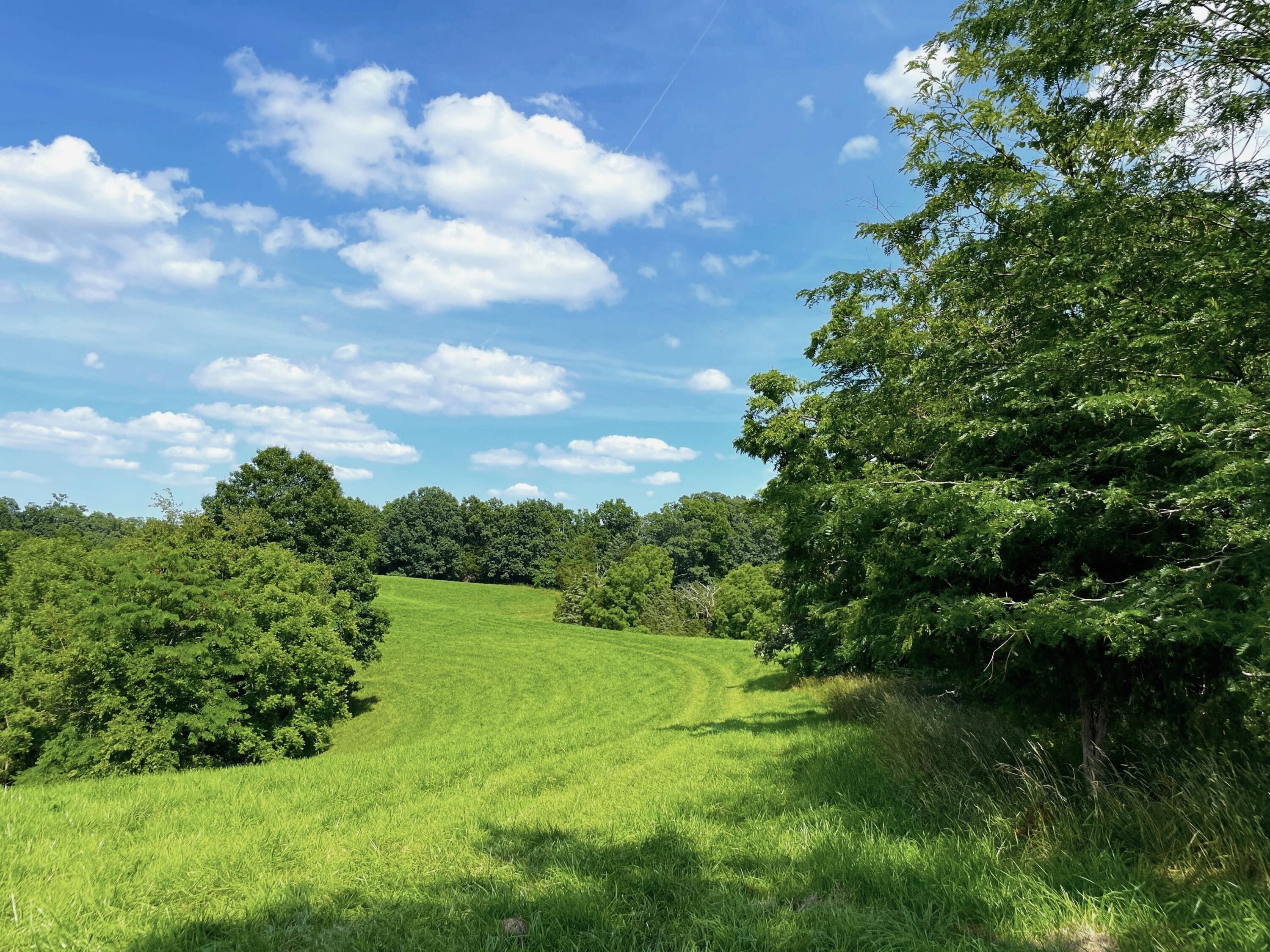 16.13 Acres, 2657 Burton Pike, KY 40324 Land and Farm
