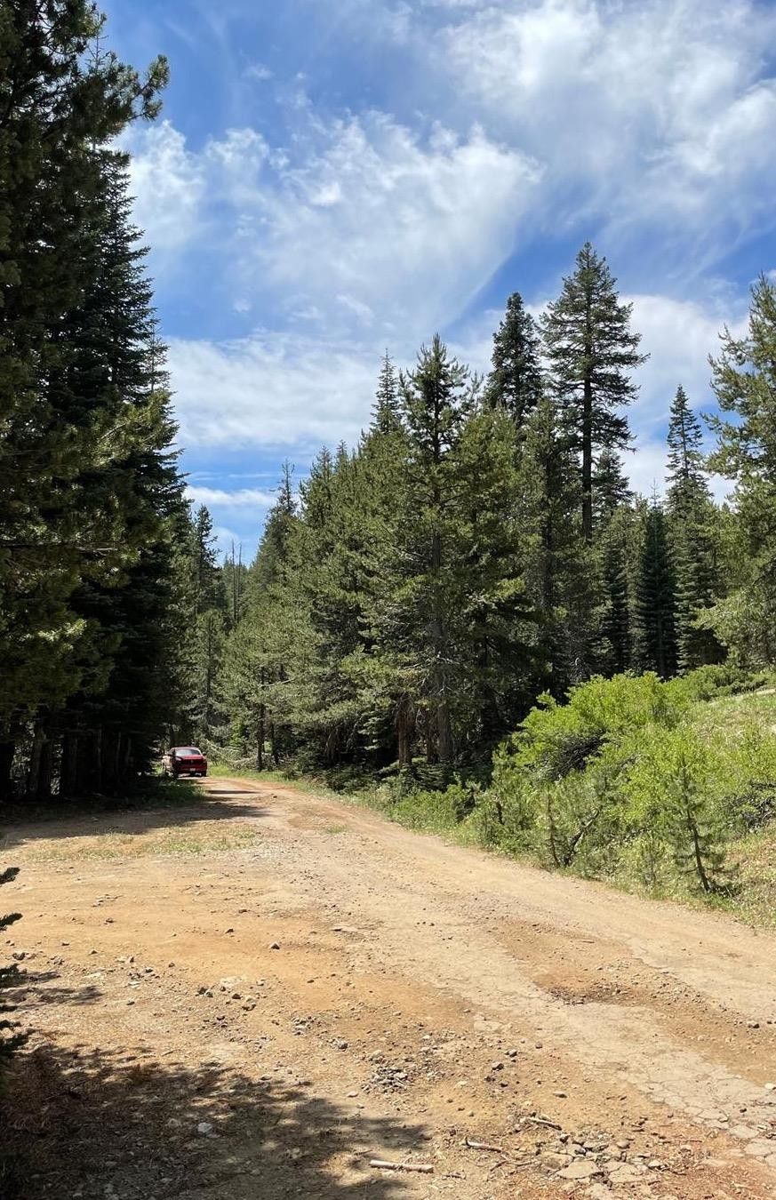 73 Prather Meadow Rd, Dorrington, CA 95223 MLS 202300974 Land and Farm