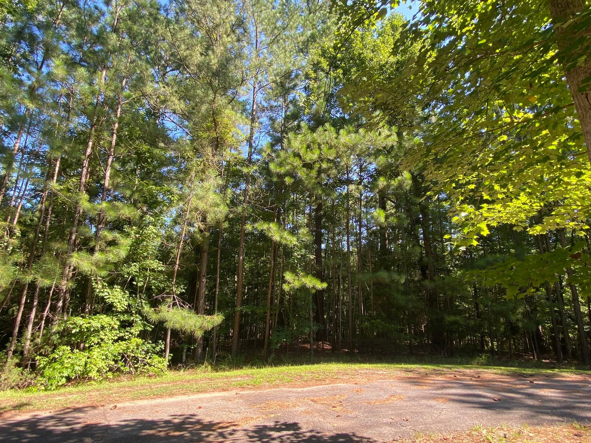 B60 L6 Northwood Trace, McCormick, SC 29835 MLS 518771 Land and Farm