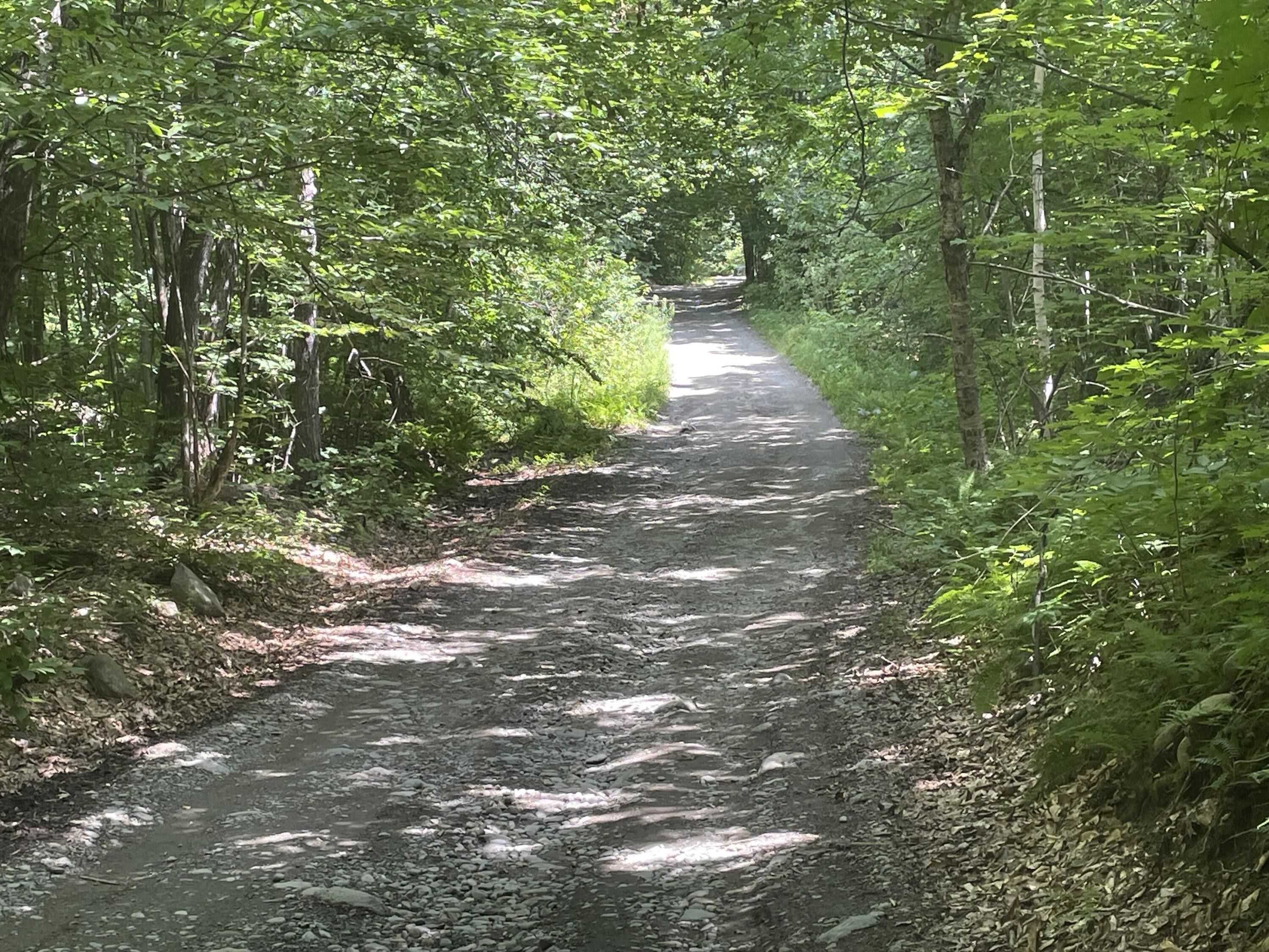 14 Acres, 191 Coffin Road, Industry, ME 04938 Land and Farm