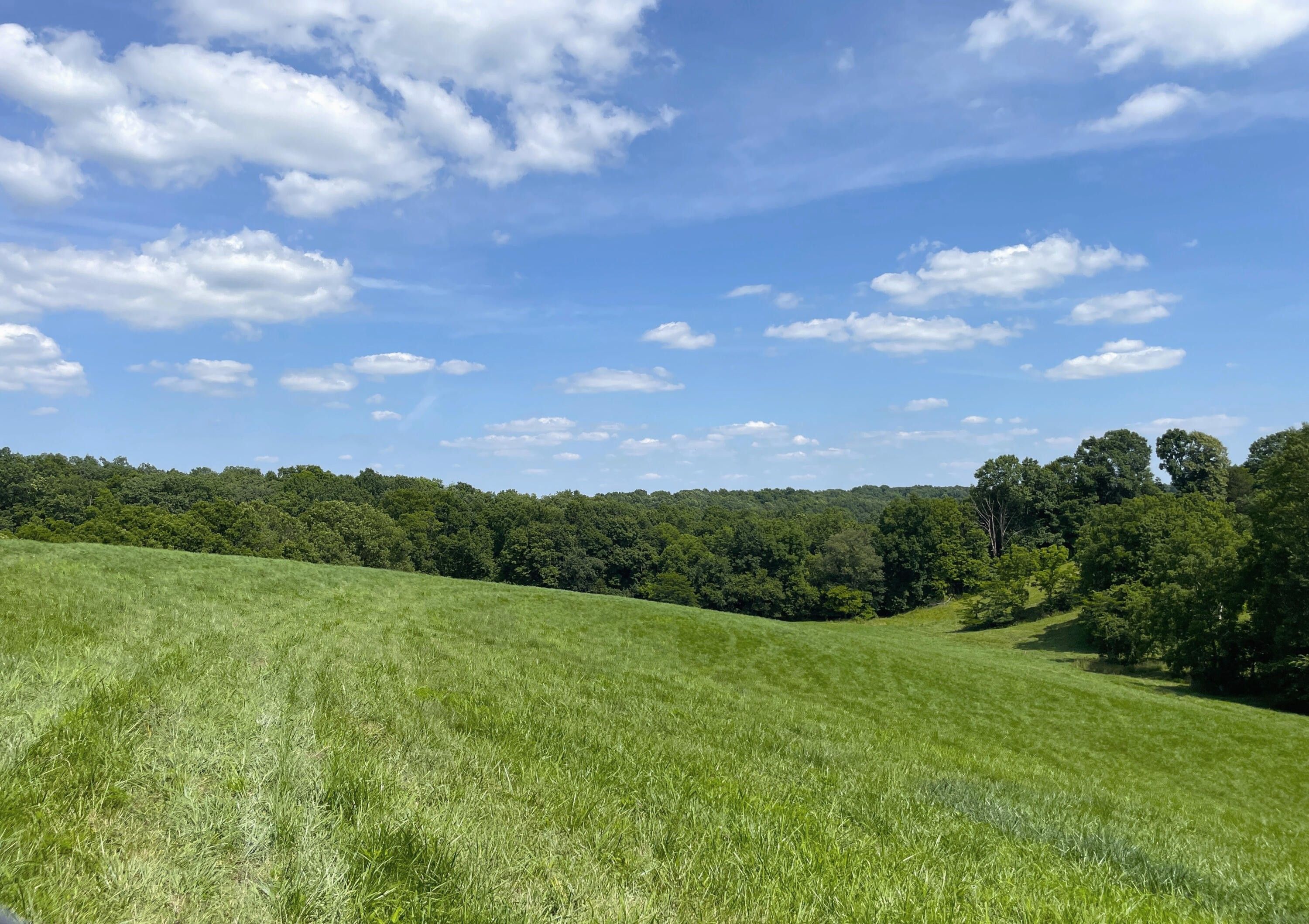12.17 Acres, 2543 Burton Pike, KY 40324 Land and Farm