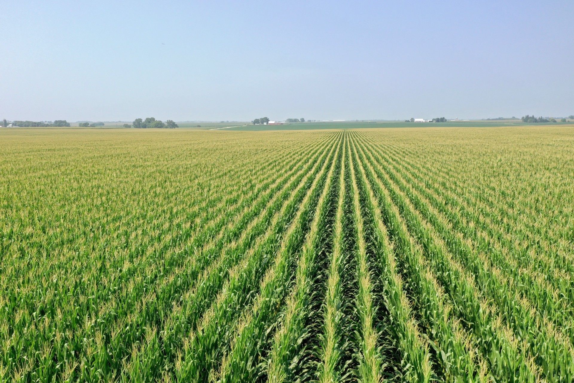 113.98 Acres, TBD Y Avenue, Westgate, IA 50681 Land and Farm