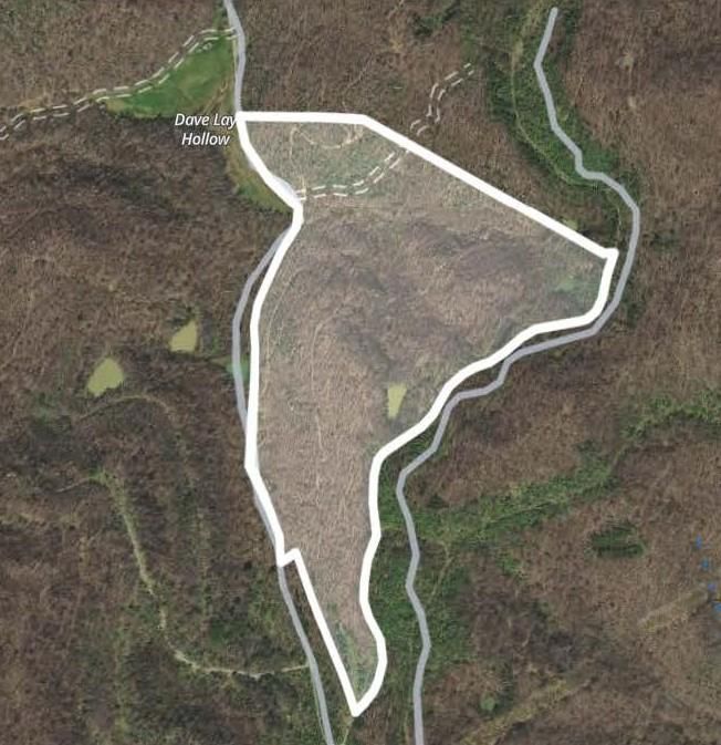 65 Acres, Hatfield Creek Rd, TN 37819 Land and Farm