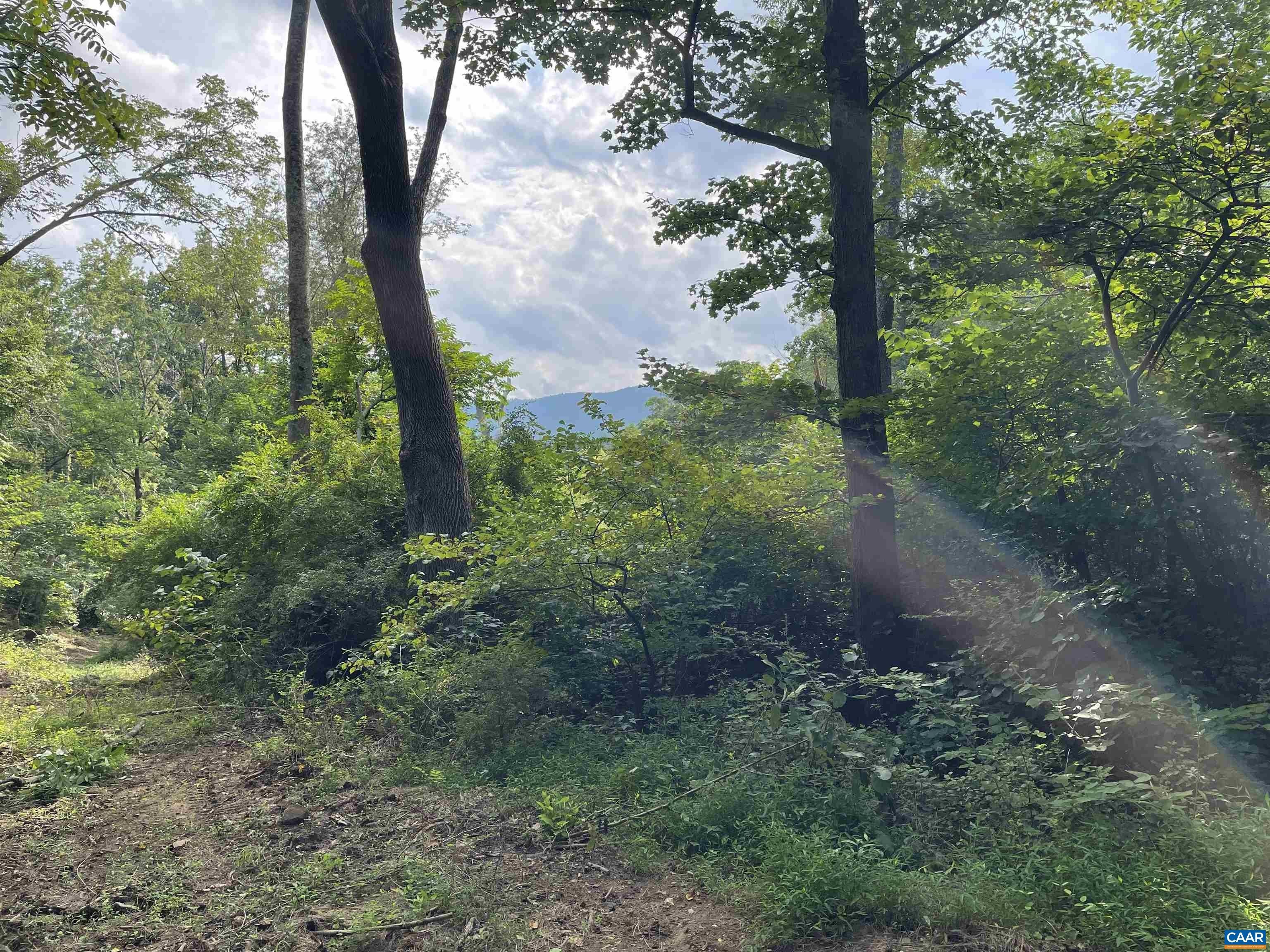 3.66 Acres, TBD AFTON MOUNTAIN RD, Afton, VA 22920 Land and Farm