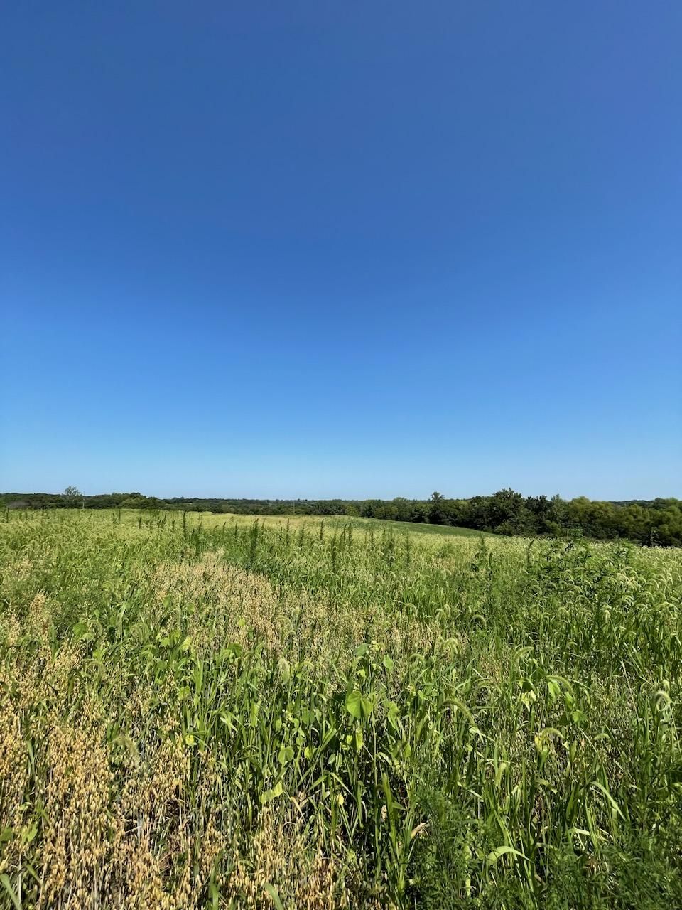 240 Acres, Hwy N, Grant City, MO 64456 Land and Farm