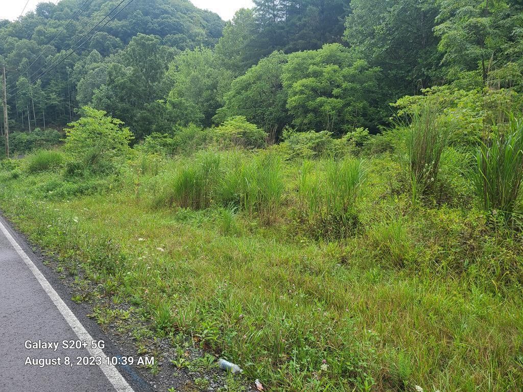 0.42 Acres, Tbd Garden Creek Road, Rowe, VA 24646 Land and Farm