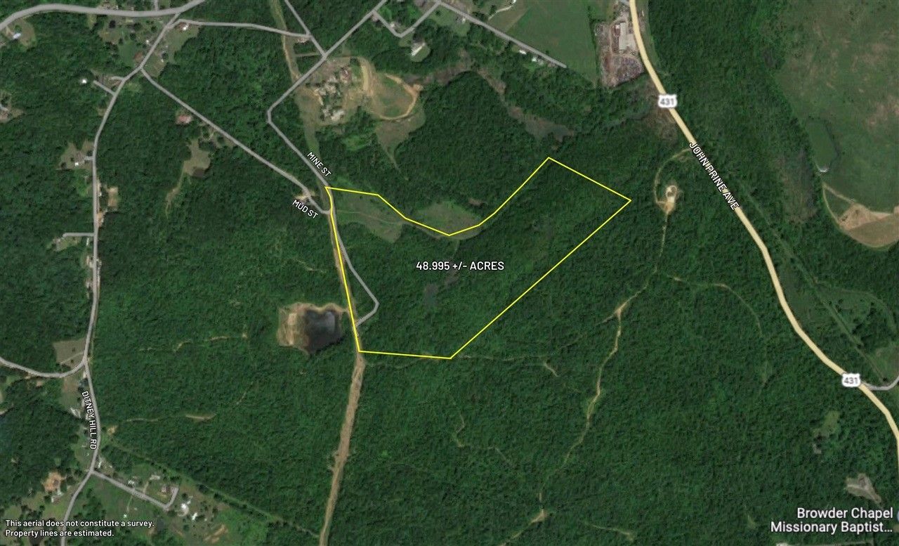 48.99 Acres, 0 Mine Street, Drakesboro, KY 42337 Land and Farm