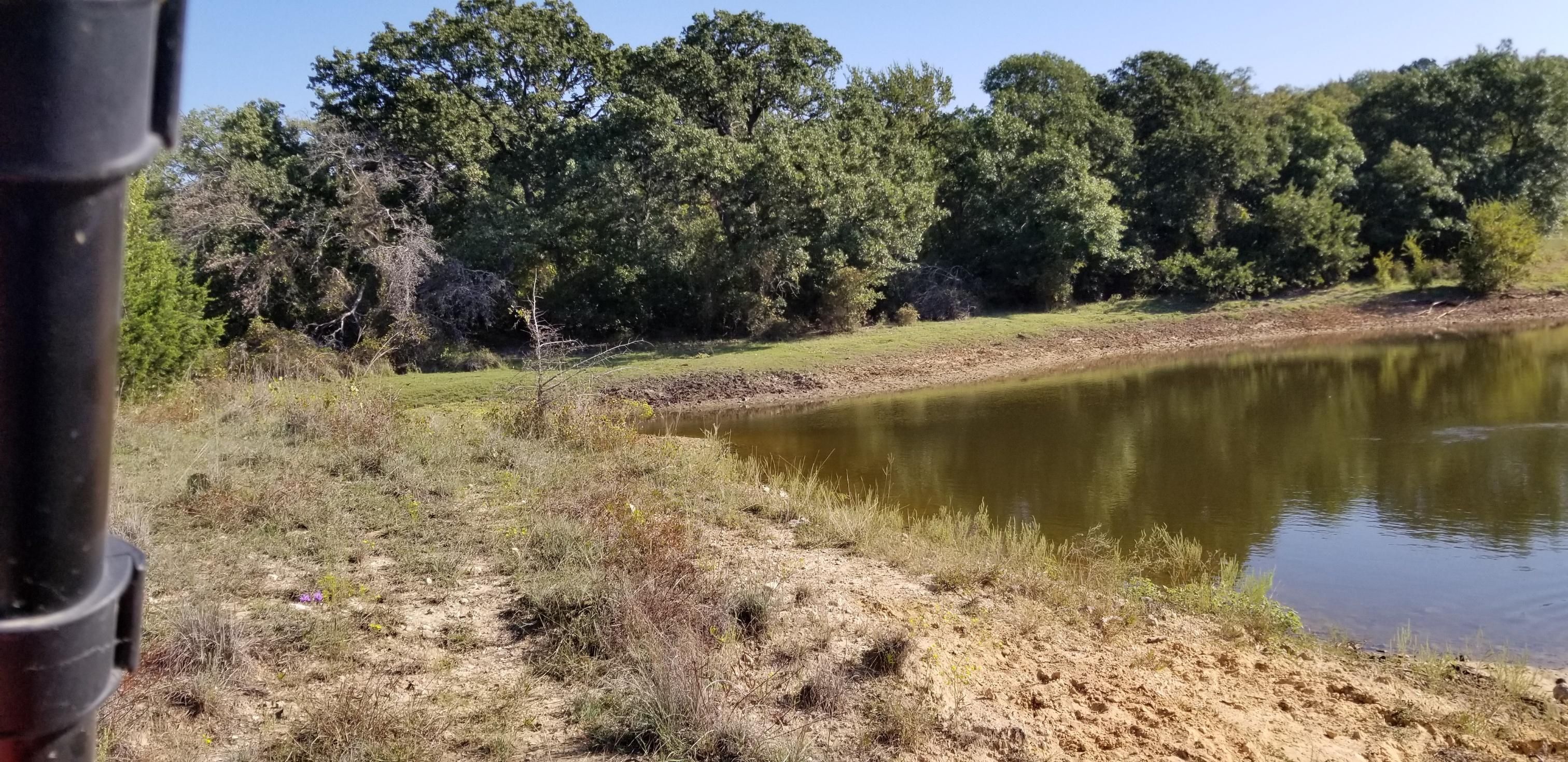 16.77 Acres, Desdemona, TX 76445 Land and Farm