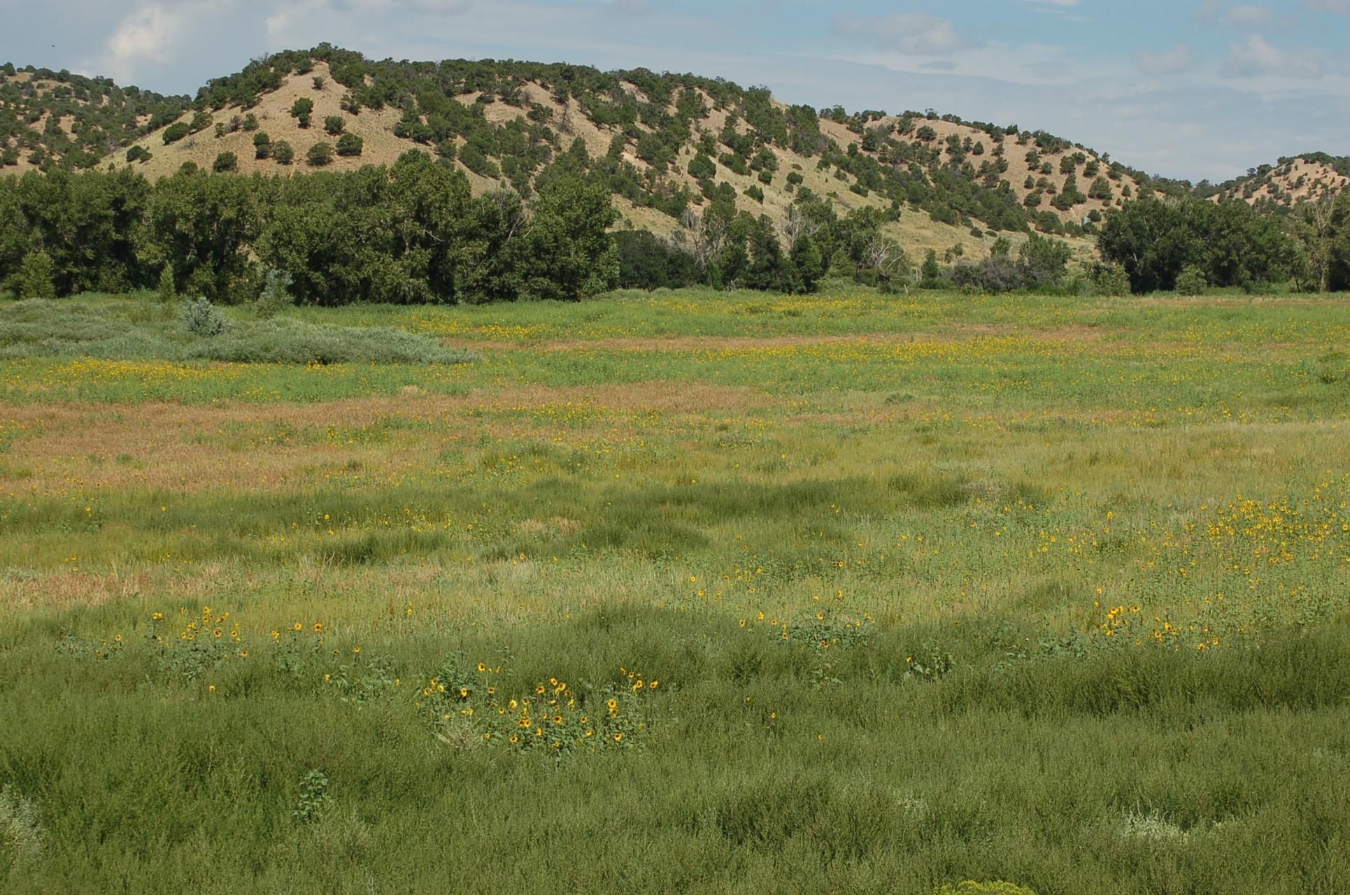 70 Acres, Walsenburg, CO 81089 Land and Farm