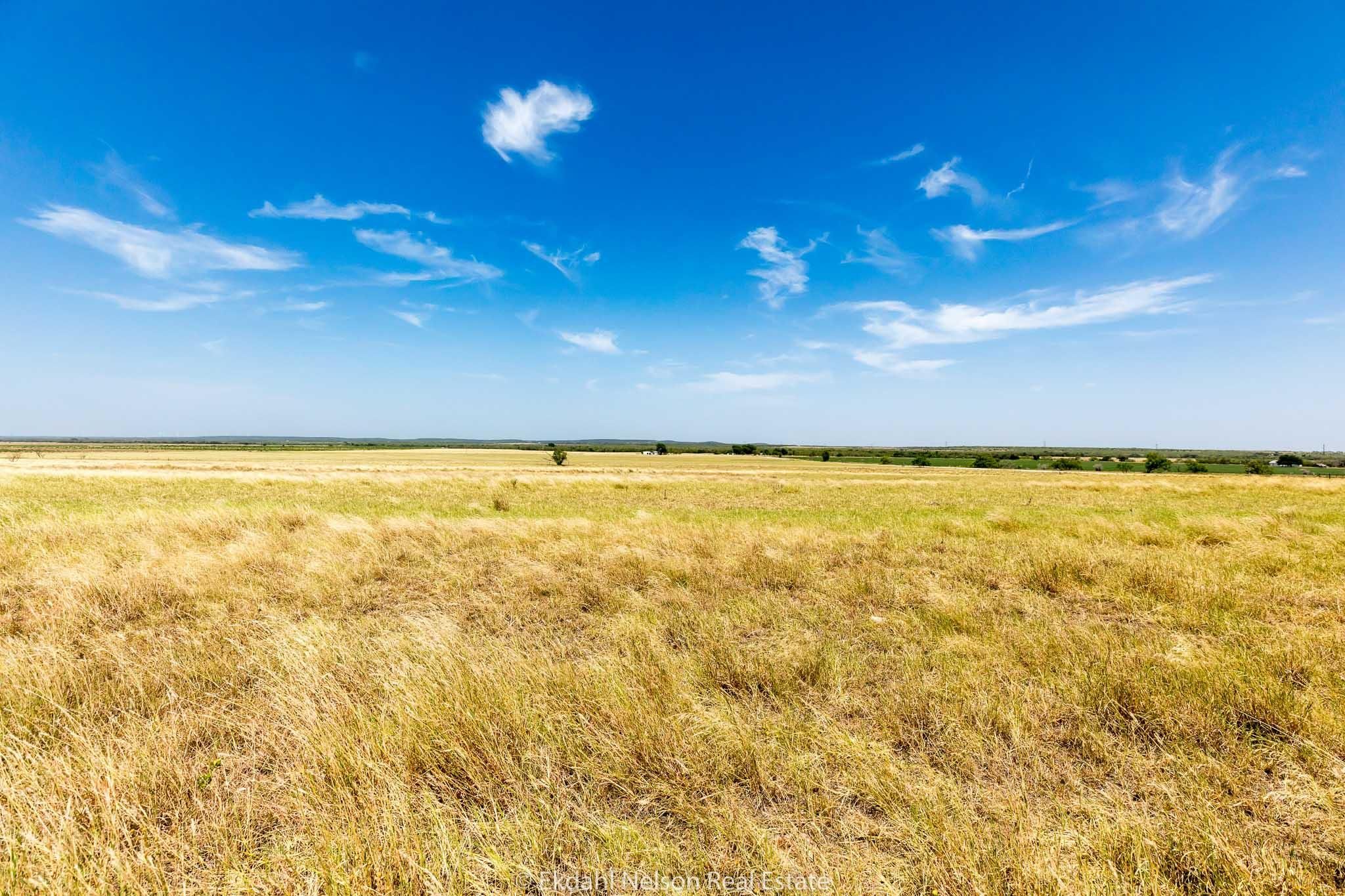 96 Acres, County Road 211, Wingate, TX 79566 Land and Farm