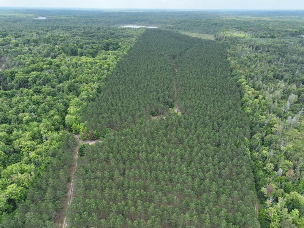 518.04 Acres, W Tee Lake RD, Blaney Park, MI 49836 Land and Farm