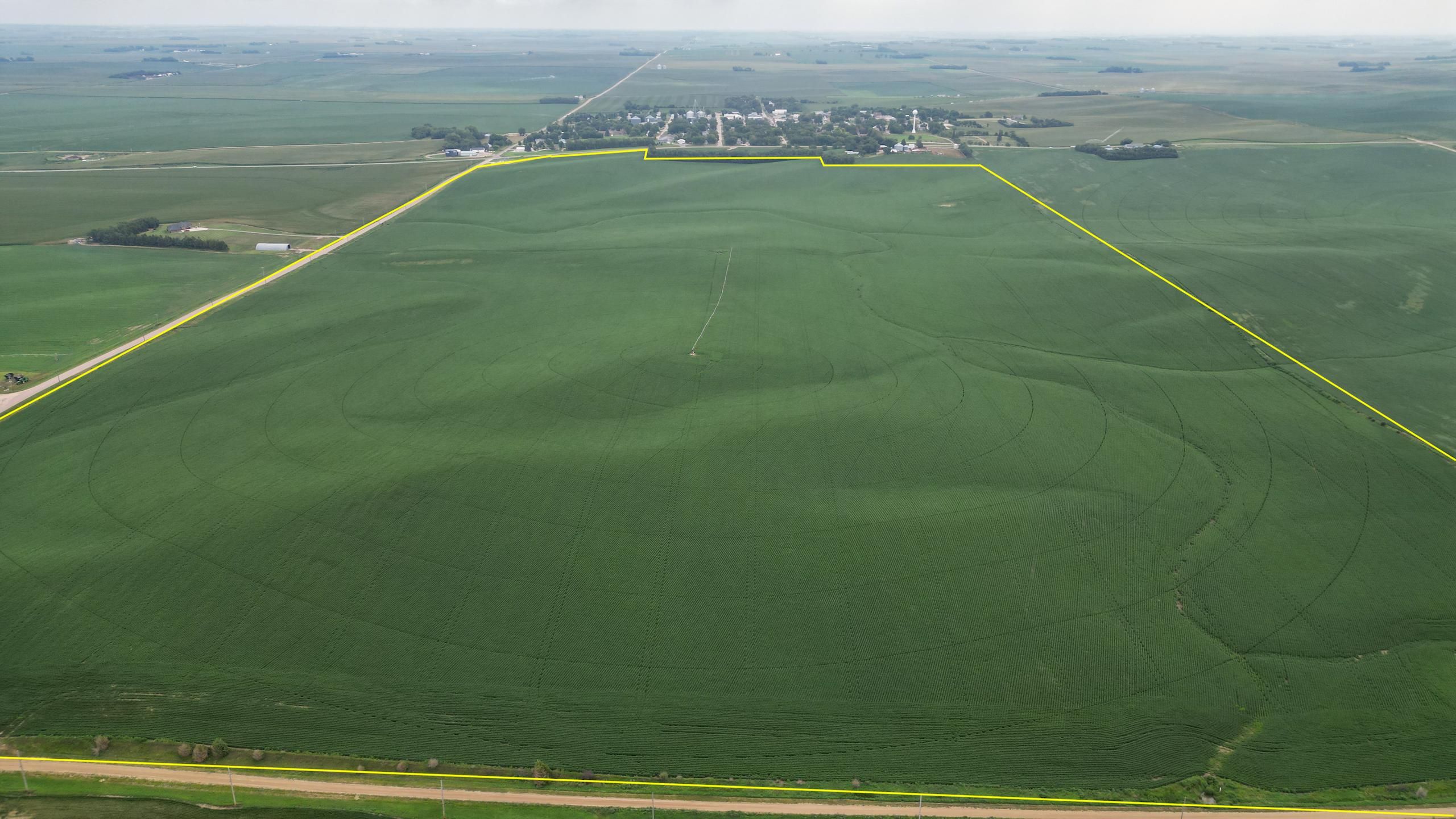 291.65 Acres, 875th Rd, Coleridge, NE 68727 Land and Farm