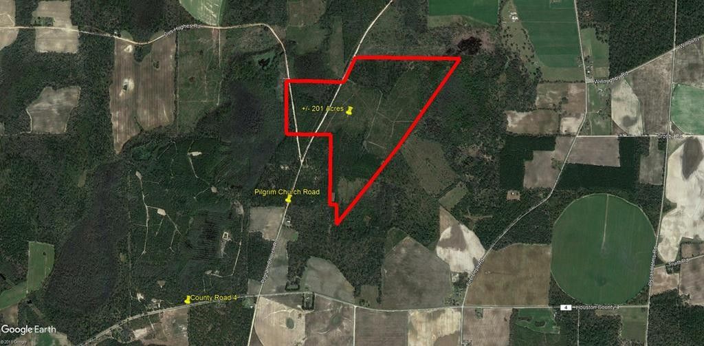 201 Acres, tbd Pilgrim Church Road, Gordon, AL 36343 Land and Farm