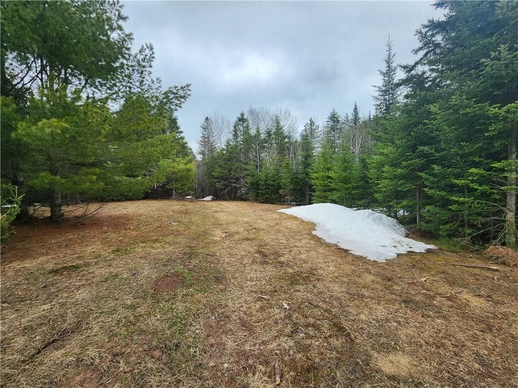 75.35 Acres, 0 State Hwy 13, Mellen, WI 54546 Land and Farm