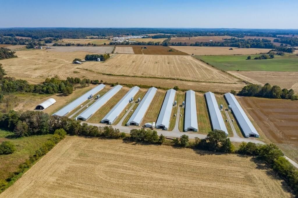 2500 KY56, Calhoun, KY 42327 Land and Farm