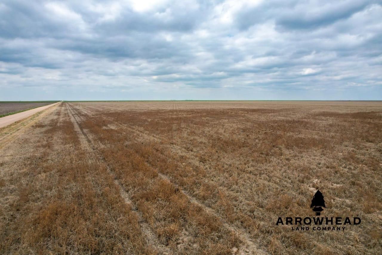 315.9 Acres, W Road 20, Dighton, KS 67839 Land and Farm