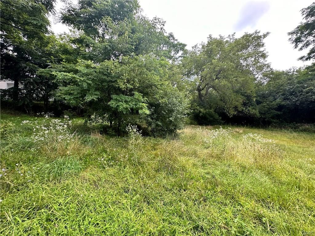 23 Acres, 0 Woodlawn, Glen Park, NY 13601 Land and Farm