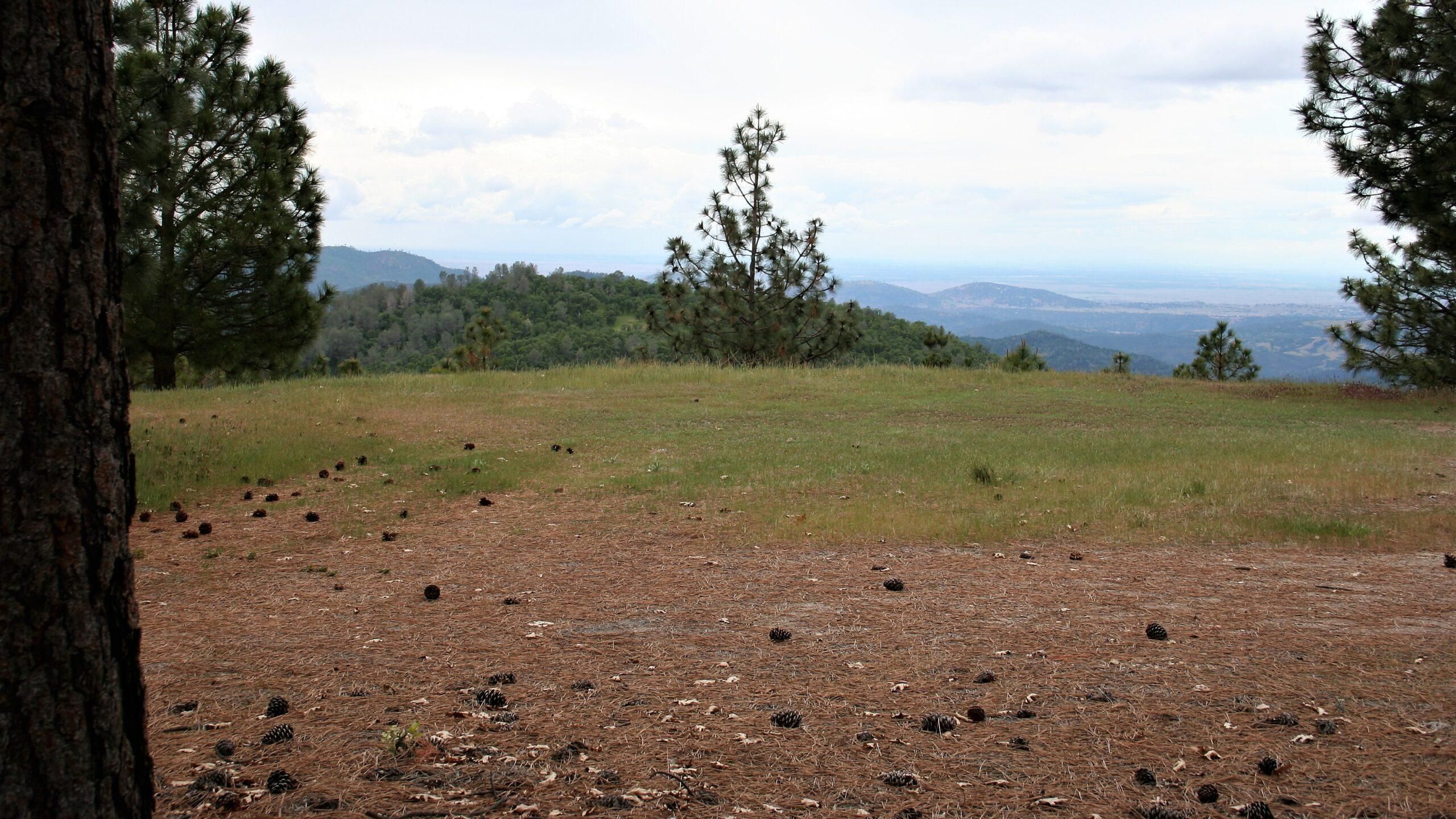 6108 Greeley Hill Road, Greeley Hill, CA 95311 Land and Farm