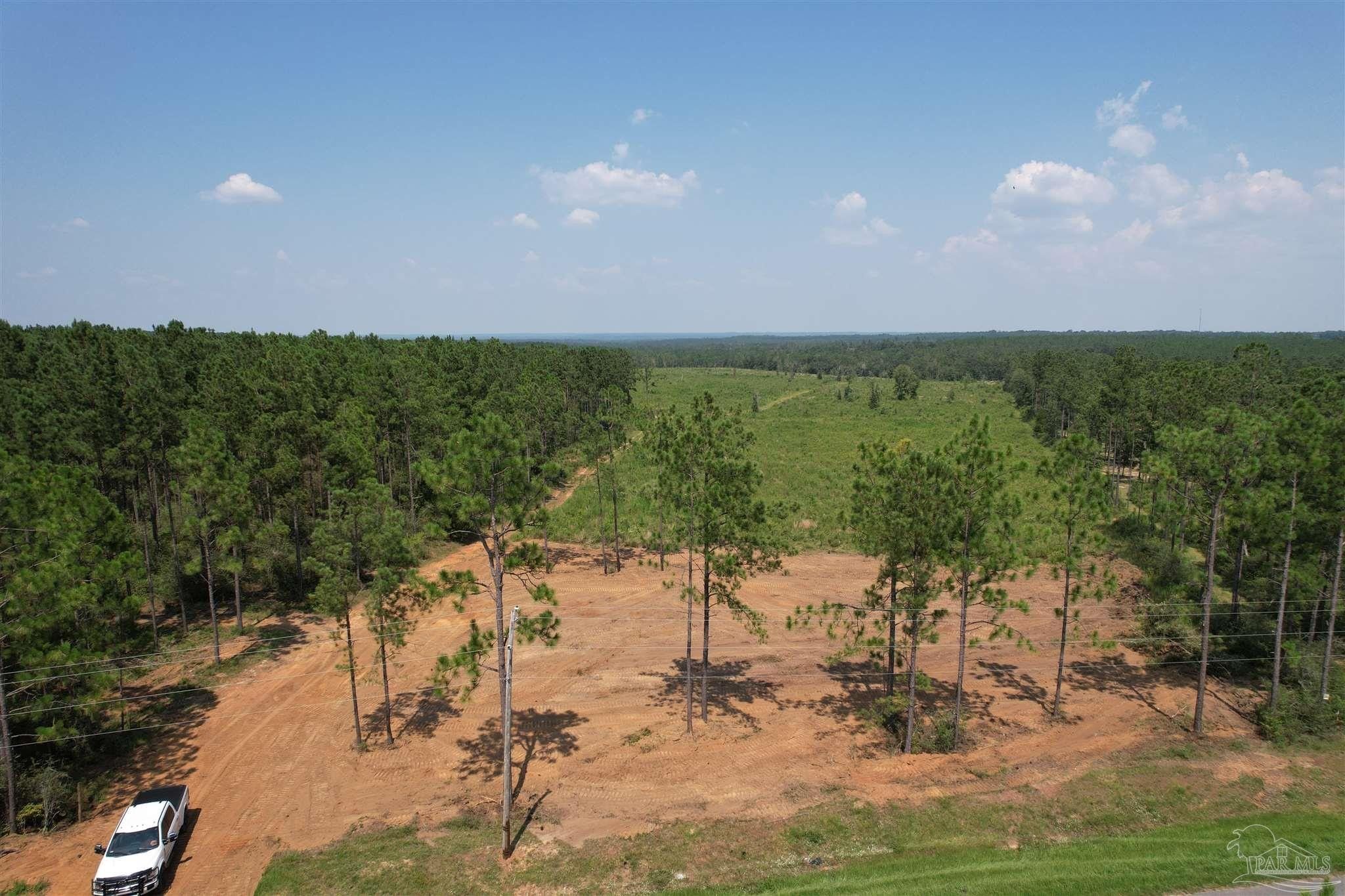 20 Acres, 1500 Hwy 97, Molino, FL 32577 Land and Farm