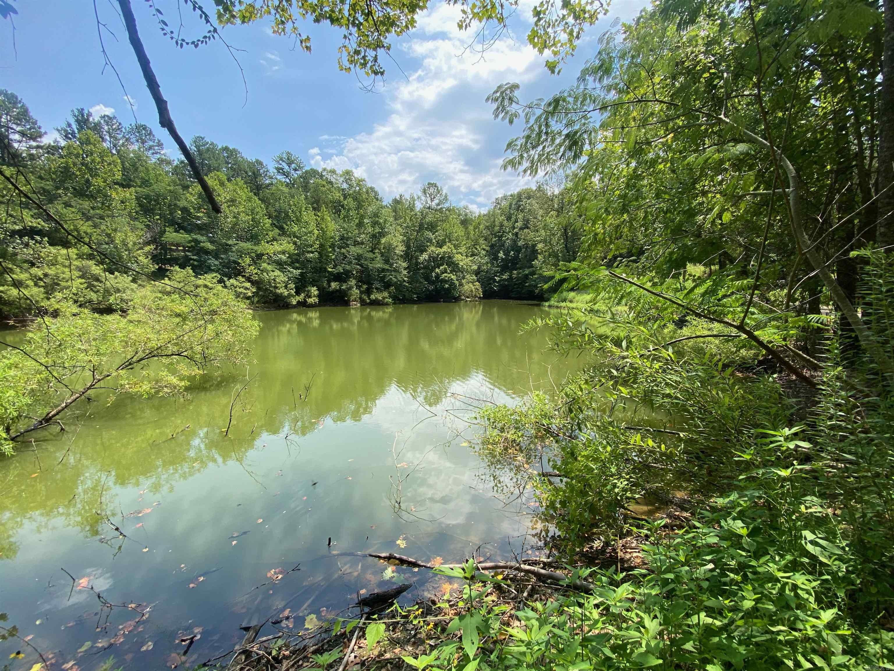 TBD Wheeler Lane, Mount Ida, AR 71957 MLS 23024937 Land and Farm