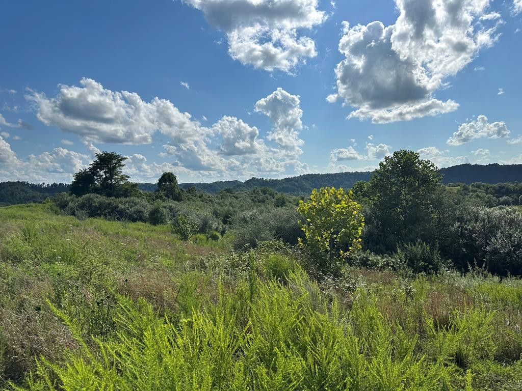 0 Rowdy low gap, Hazard, KY 41701 MLS 118992 Land and Farm