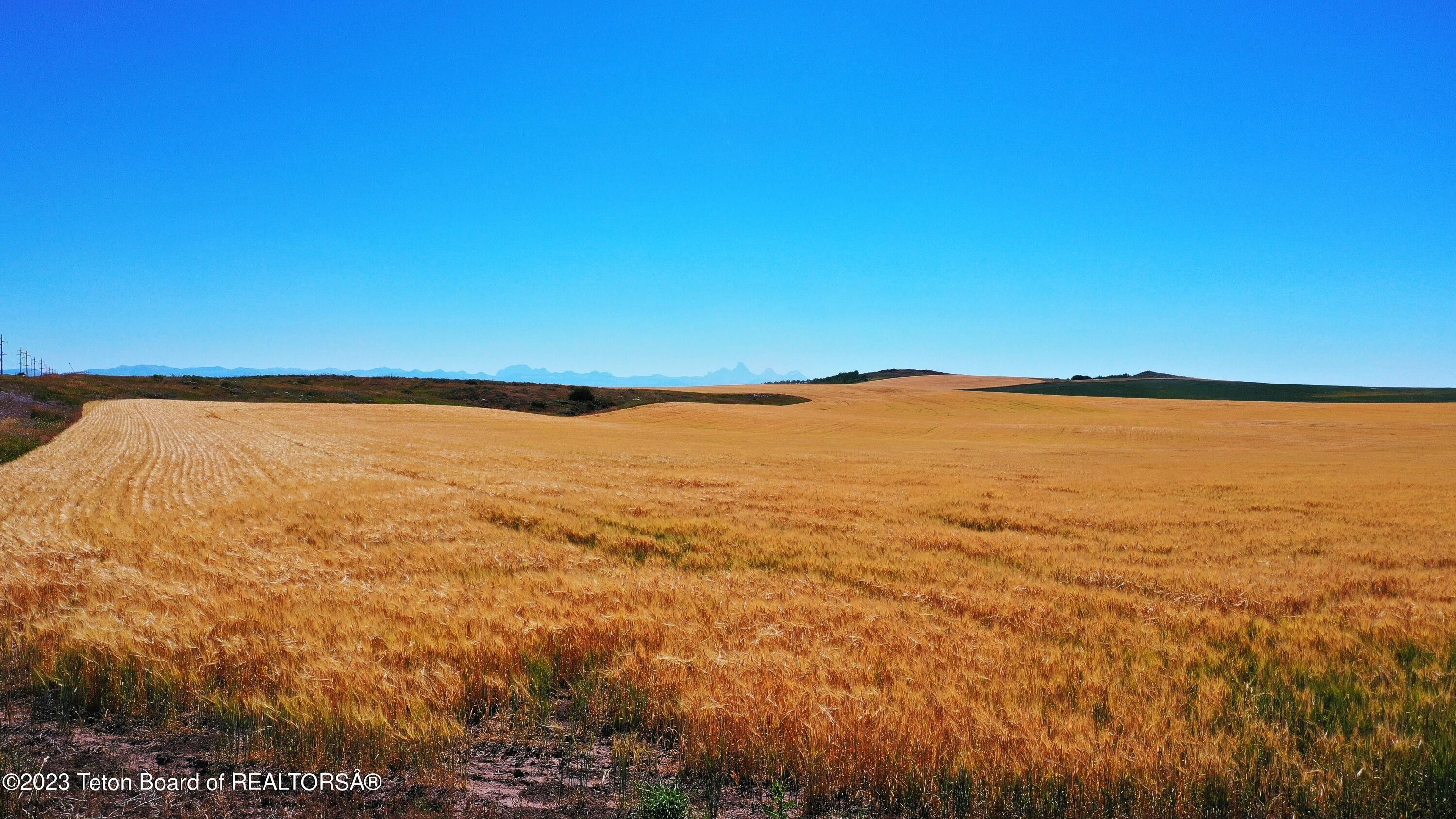 20 Acres, Tbd1 HWY 32, Drummond, ID 83420 Land and Farm