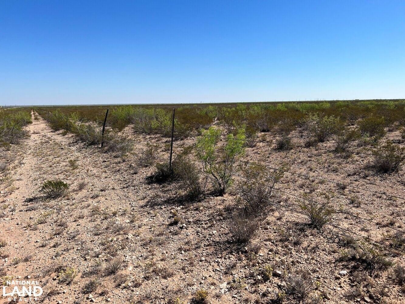 40 acres in Coyanosa, TX, 79730 Land and Farm
