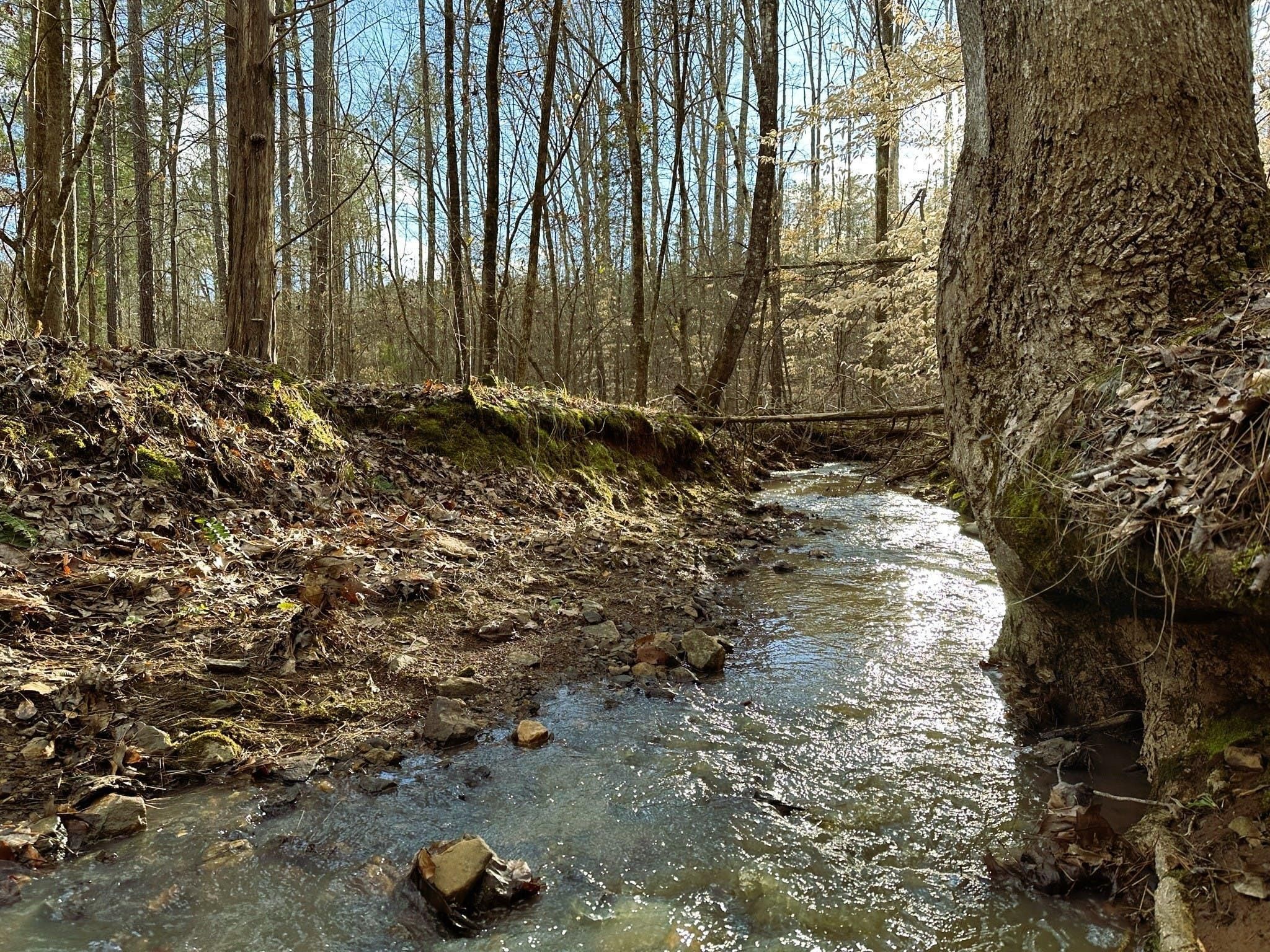 89.5 acres in Hickory Grove, SC, 29717 Land and Farm