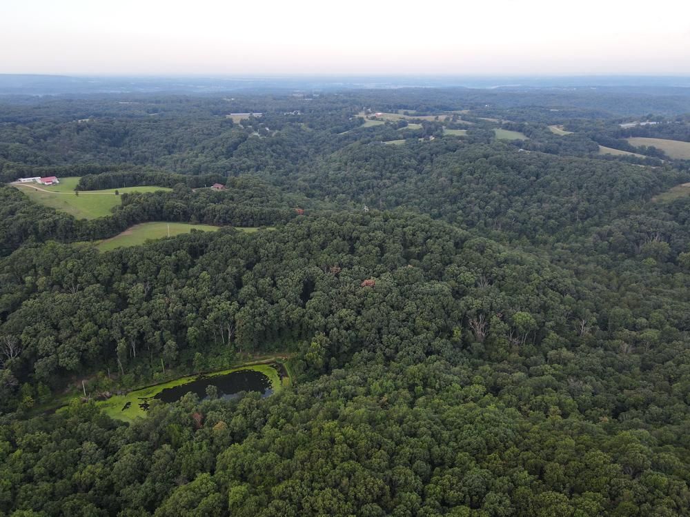 40 Acres, 000 Farm Road 1000, Washburn, MO 65772 Land and Farm