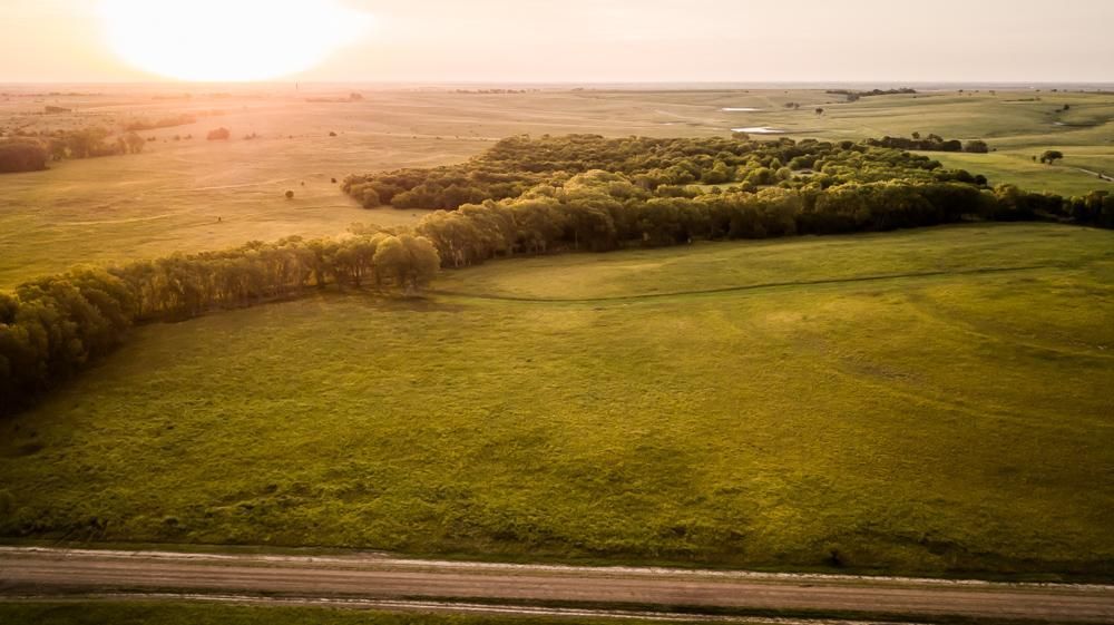 155 Acres, 00000 E Farrelly Road, Gypsum, KS 67448 Land and Farm