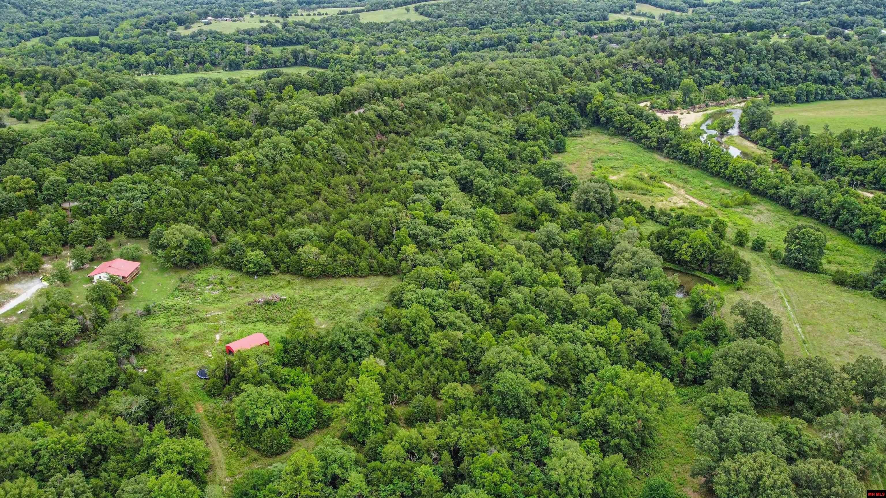 45.91 Acres, 64 FRANCIS MARION LANE, Yellville, AR 72687 Land and Farm