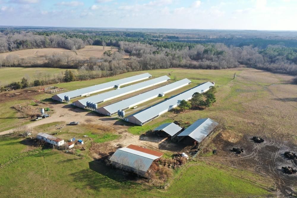 23 Acres, Wade Road, Morton, MS 39117 Land and Farm
