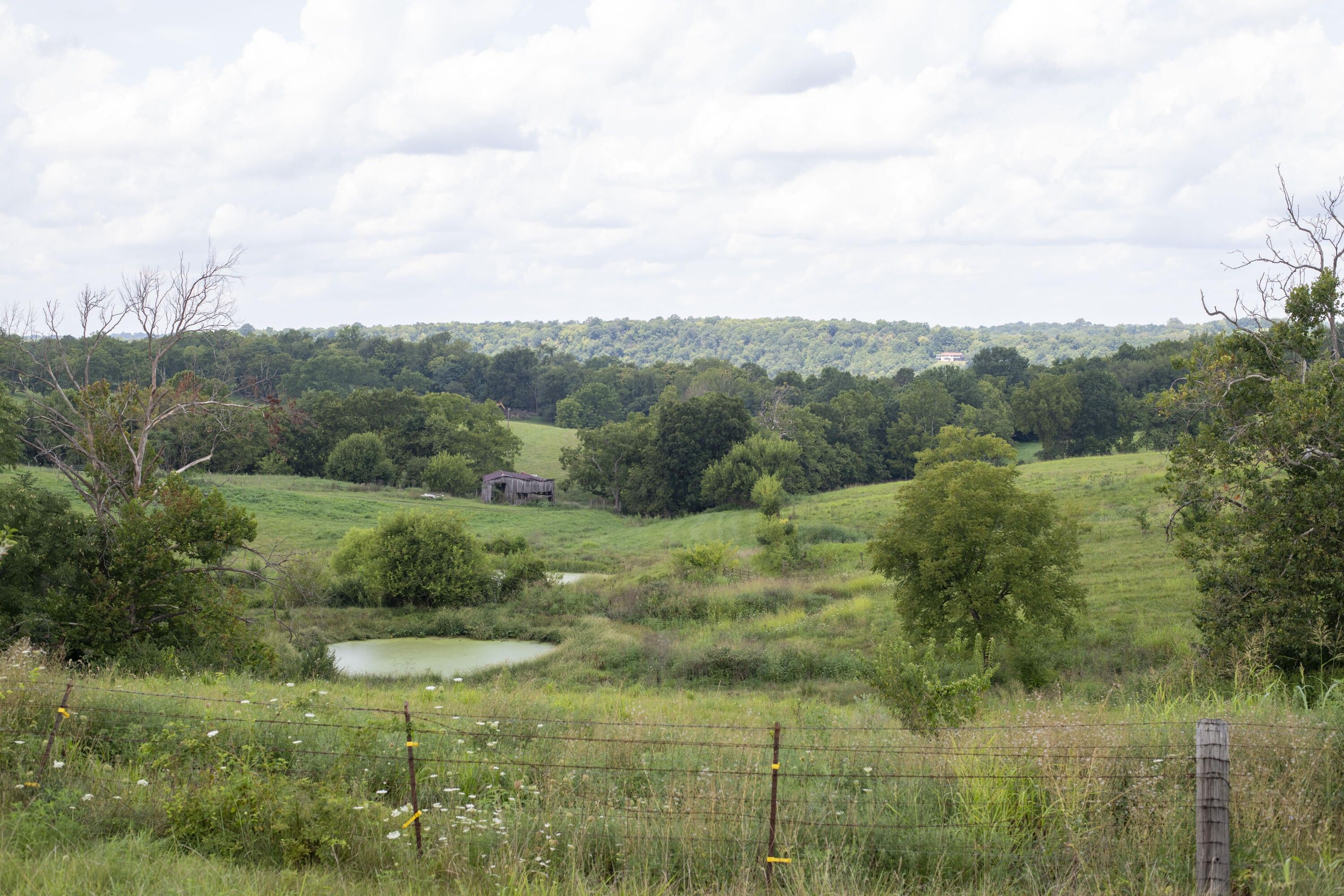 13.73 Acres, 2785 High Bridge Road, Wilmore, KY 40390 Land and Farm