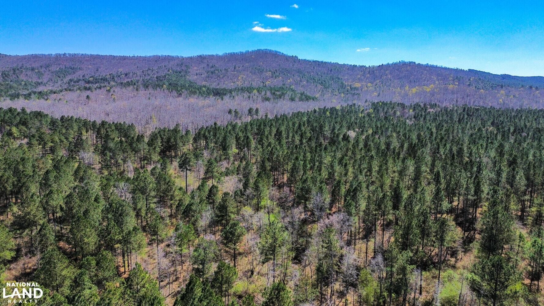 86 Acres, Rock Run, AL 36272 Land and Farm