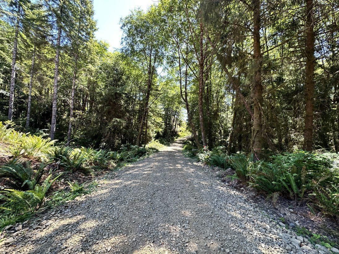 199 Acres, Naselle, WA 98586 Land and Farm