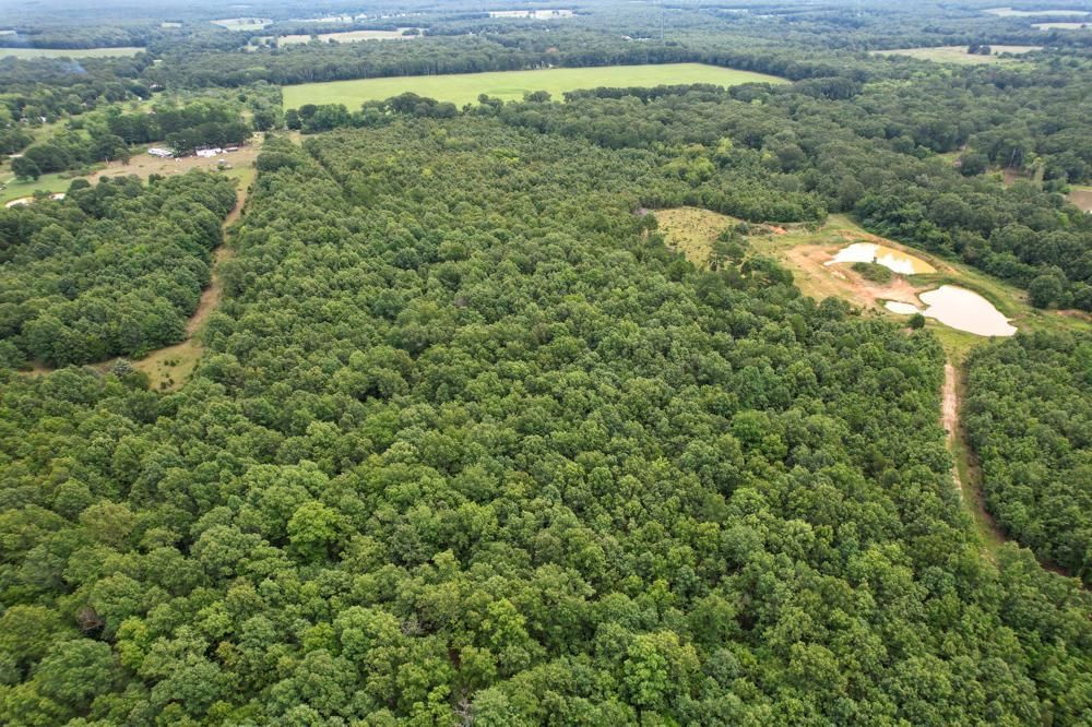 20 Acres, 0000 Private Road 6245, Edgar Springs, MO 65462 Land and Farm