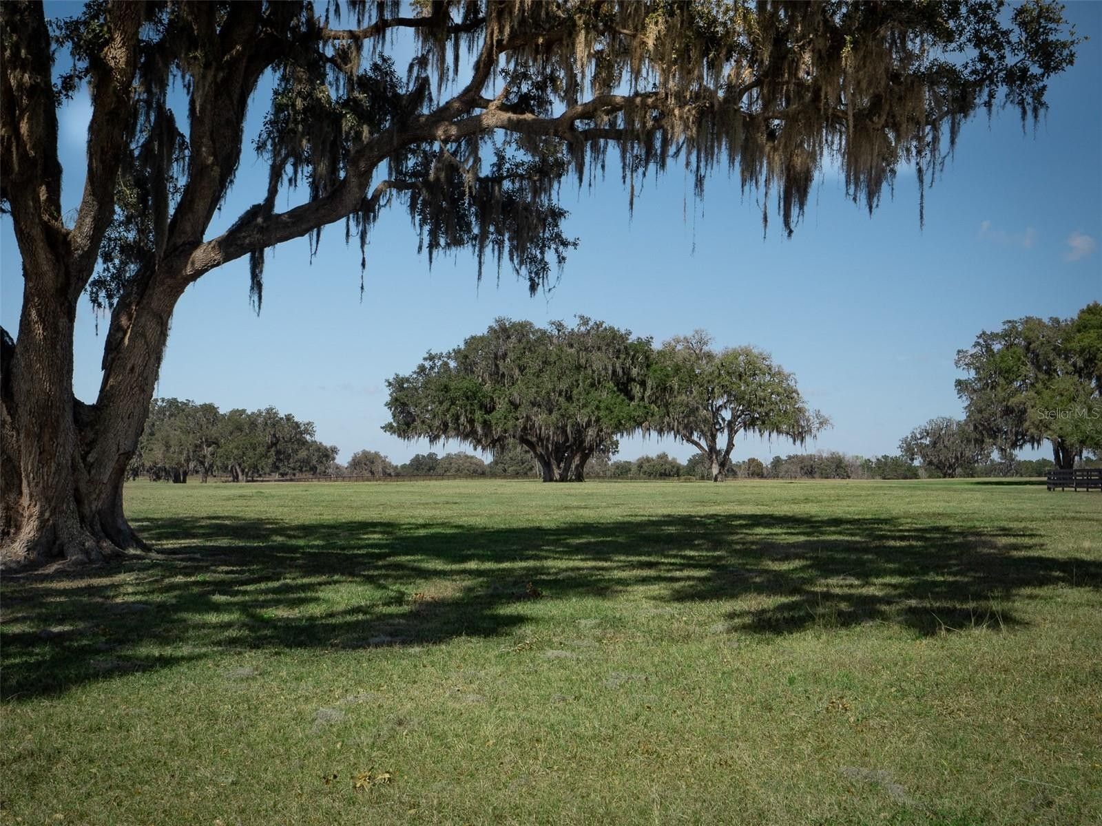 20 Acres, 0 NW 464B, Ocala, FL 34482 Land and Farm