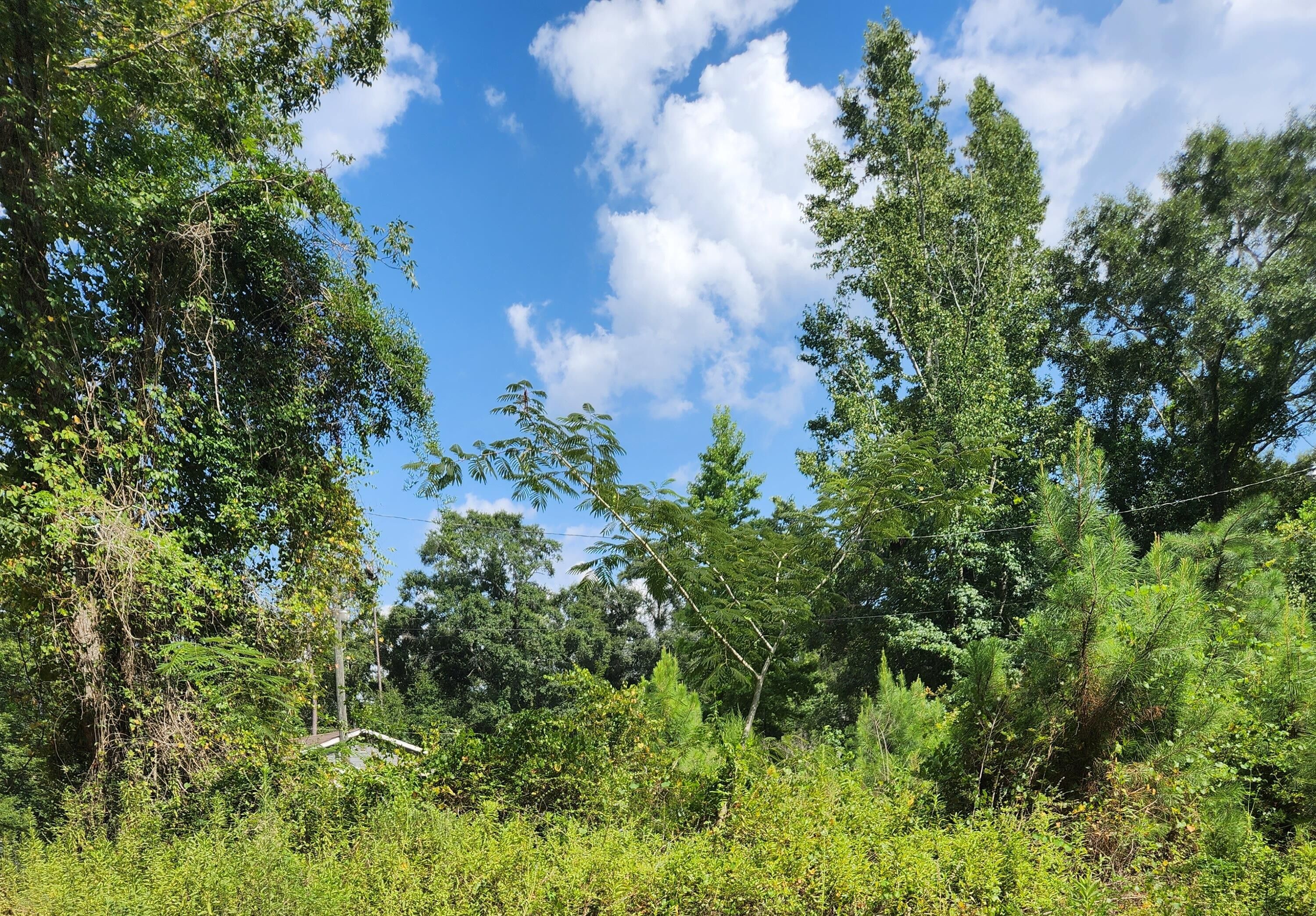 0.82 Acres, 297 Backwoods Road, Century, FL 32535 Land and Farm