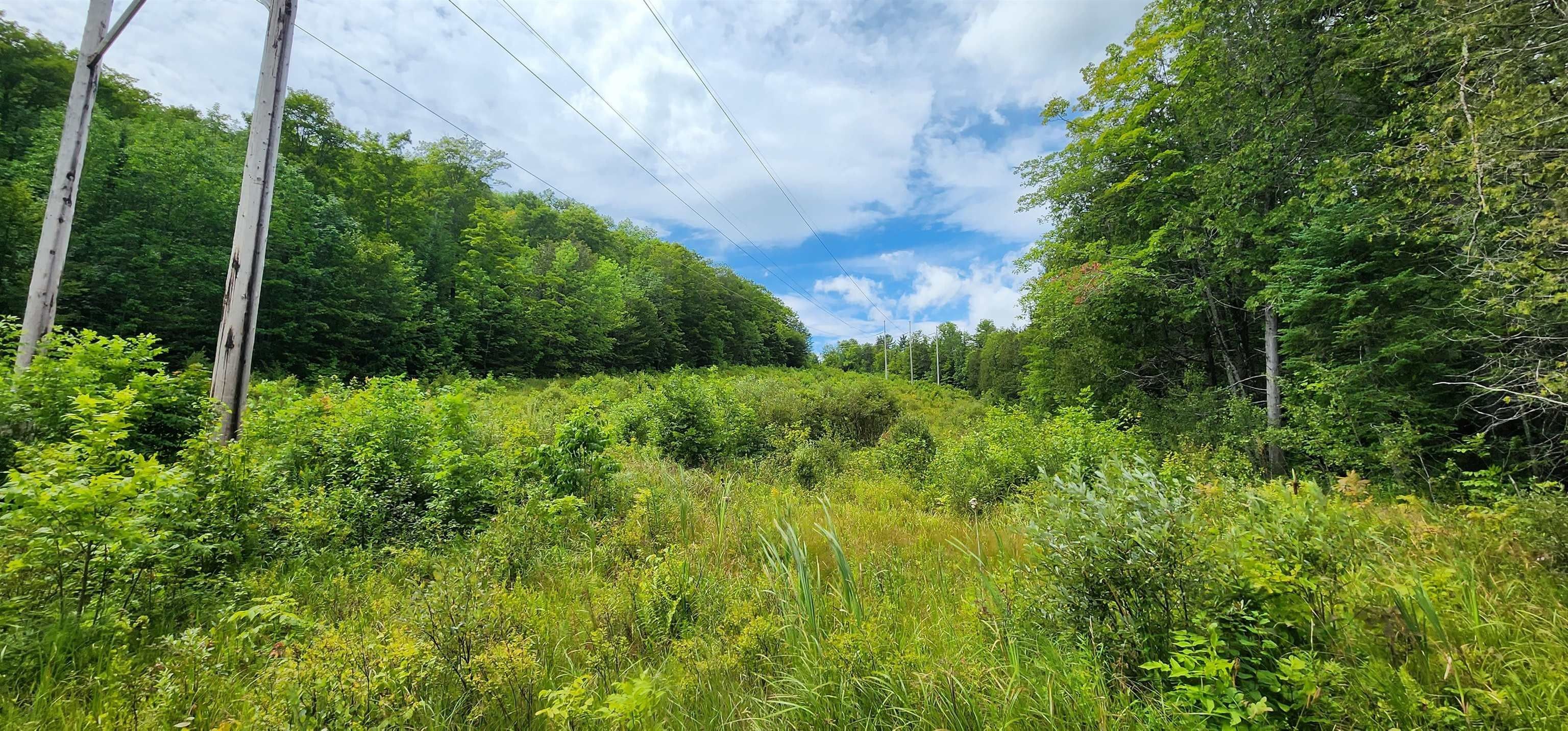 44 Acres, G Riddel Pond Road, Orange, VT 05641 Land and Farm