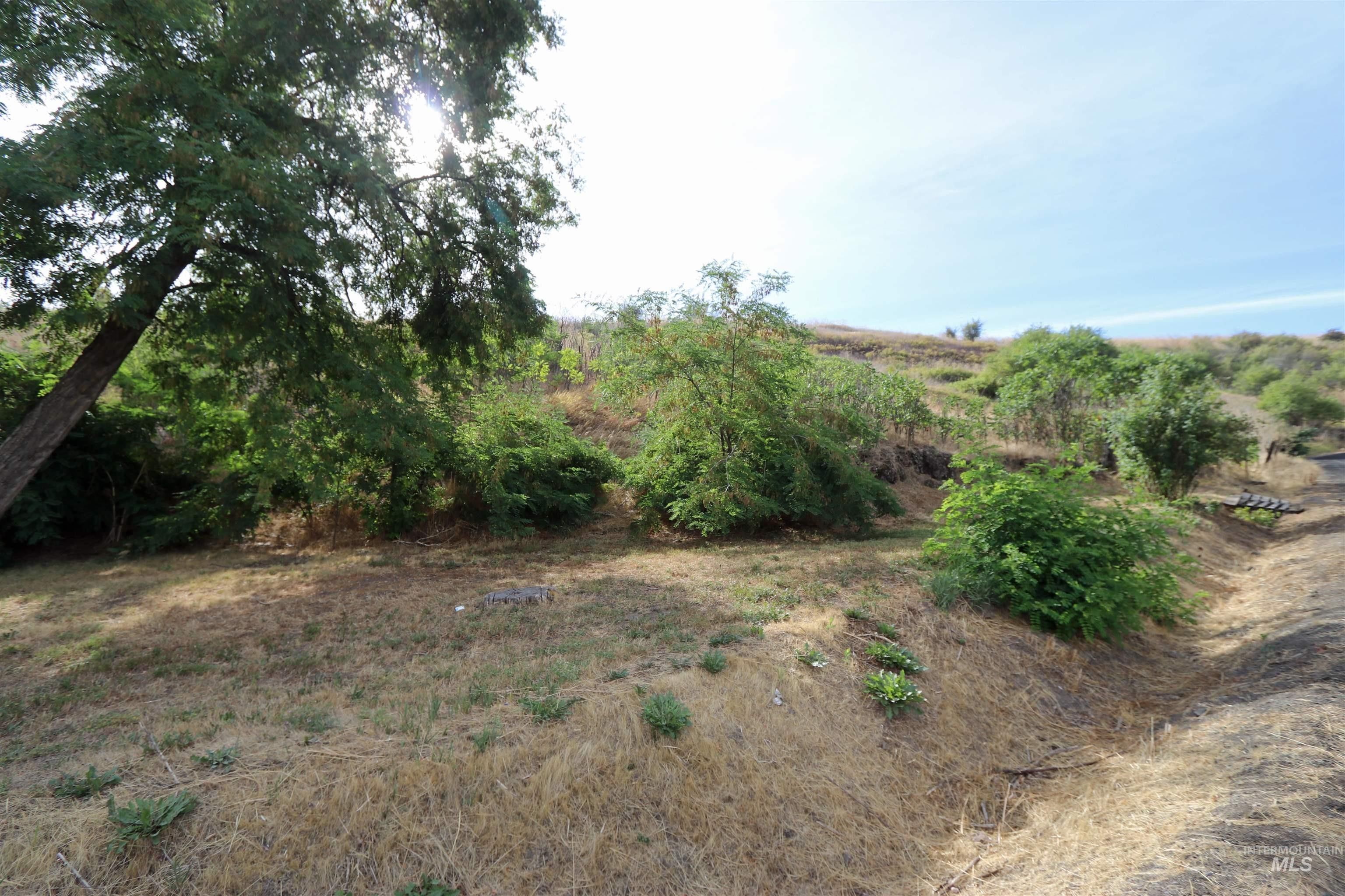 4 Acres, Tbd Sander Grade, Lapwai, ID 83540 Land and Farm