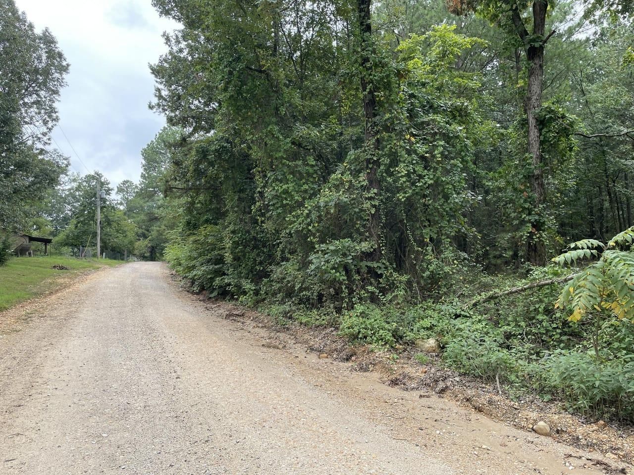 12 Acres, Red Barn Rd, Cave City, AR 72521 Land and Farm