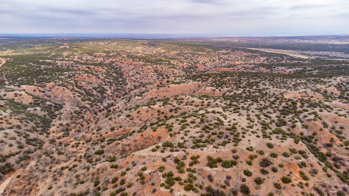 350 Acres, Turkey, TX 79261 Land and Farm