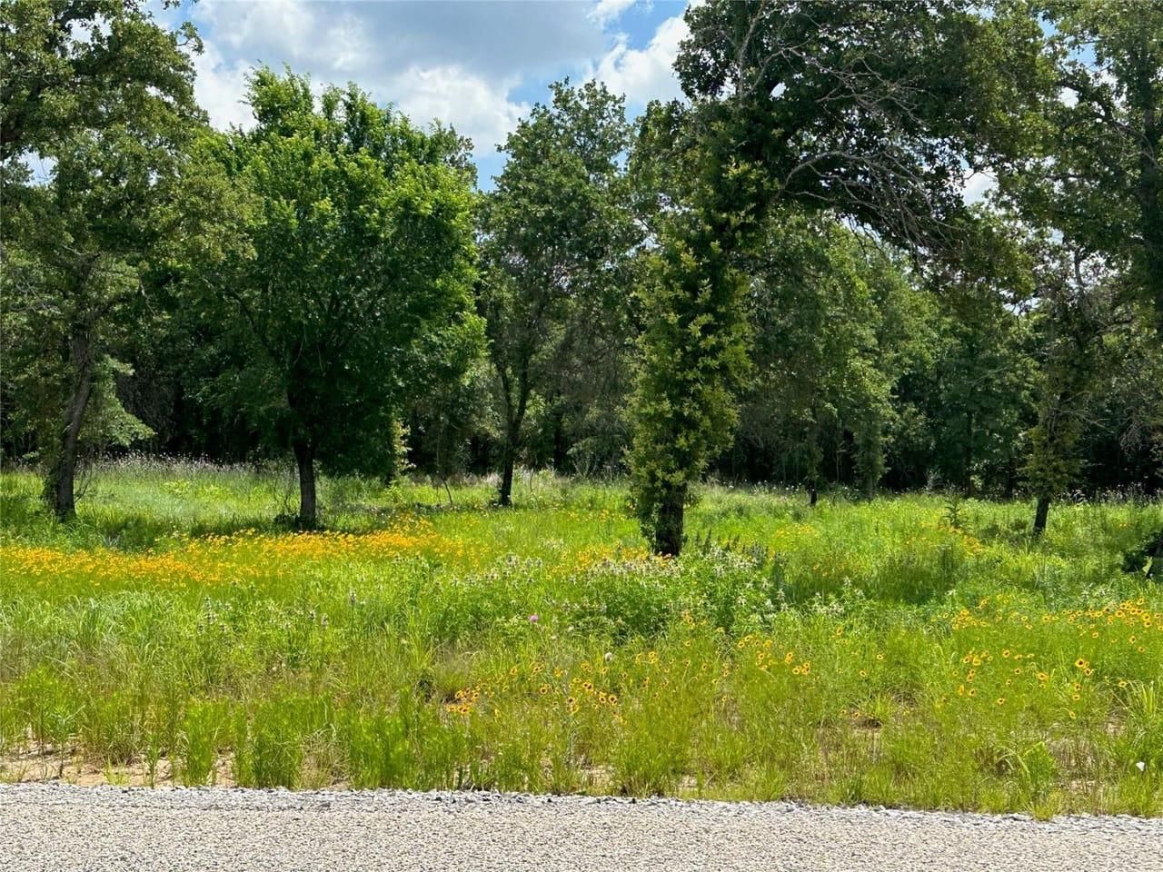 20 Acres, Hidden Ranch Ln, Perrin, Texas 76486, Perrin, TX 76486 Land