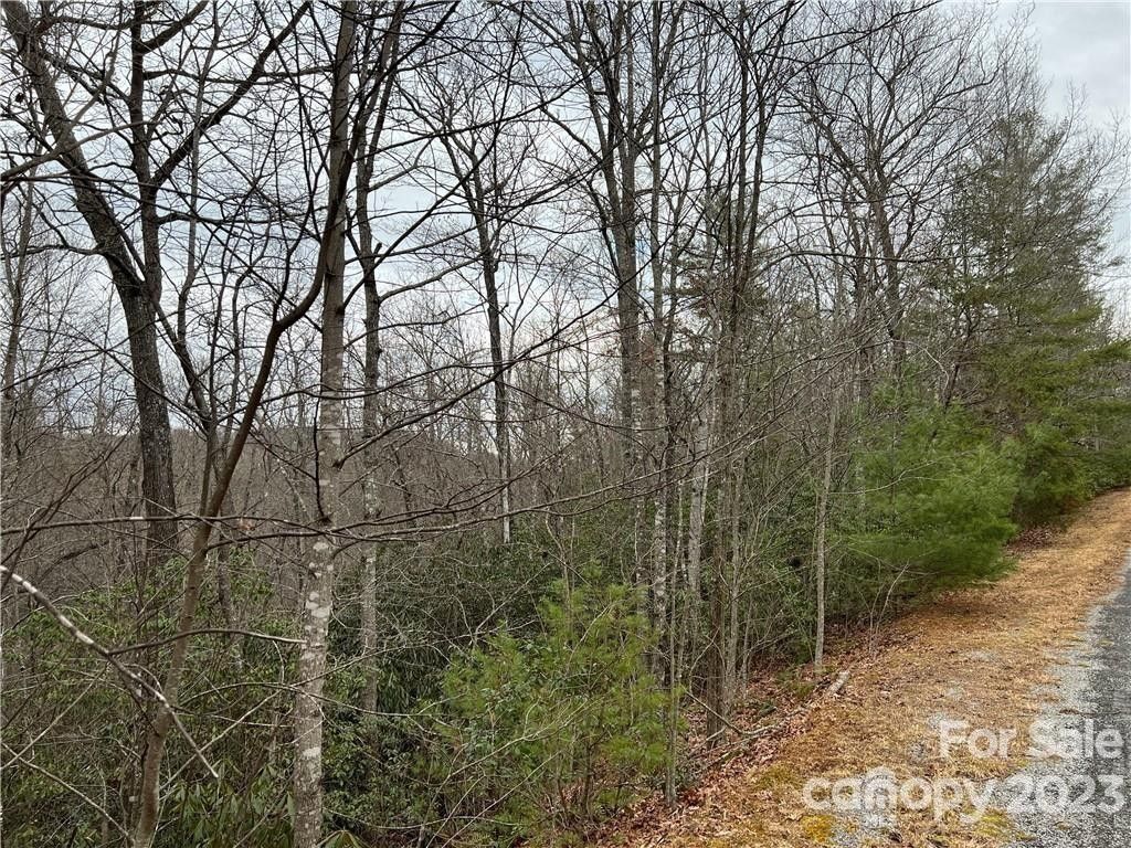 2.26 Acres, 0 Silverstone Drive, Hendersonville, NC 28792 Land and Farm