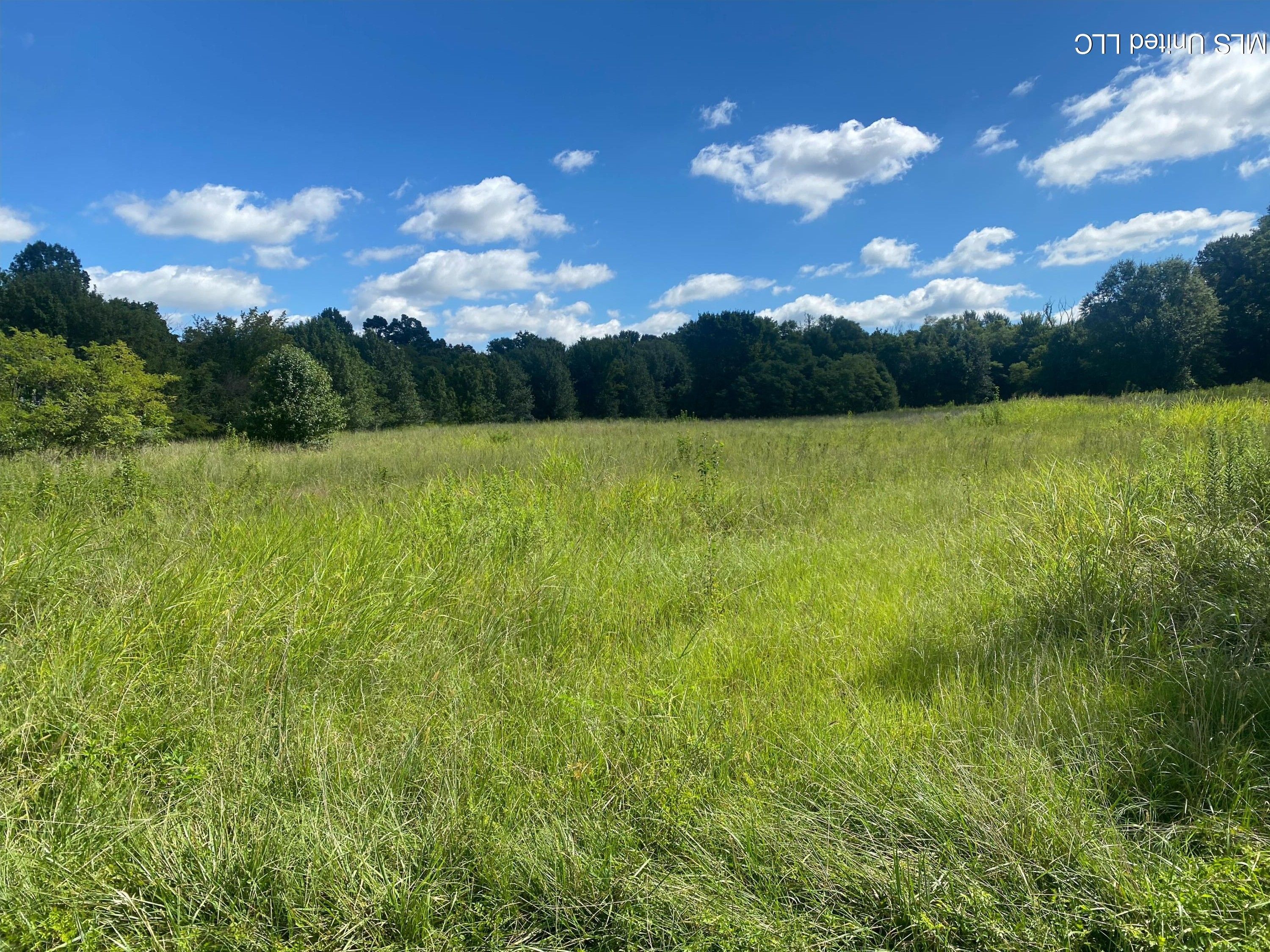 3.97 Acres, 450 Vaiden Drive, Hernando, MS 38632 Land and Farm