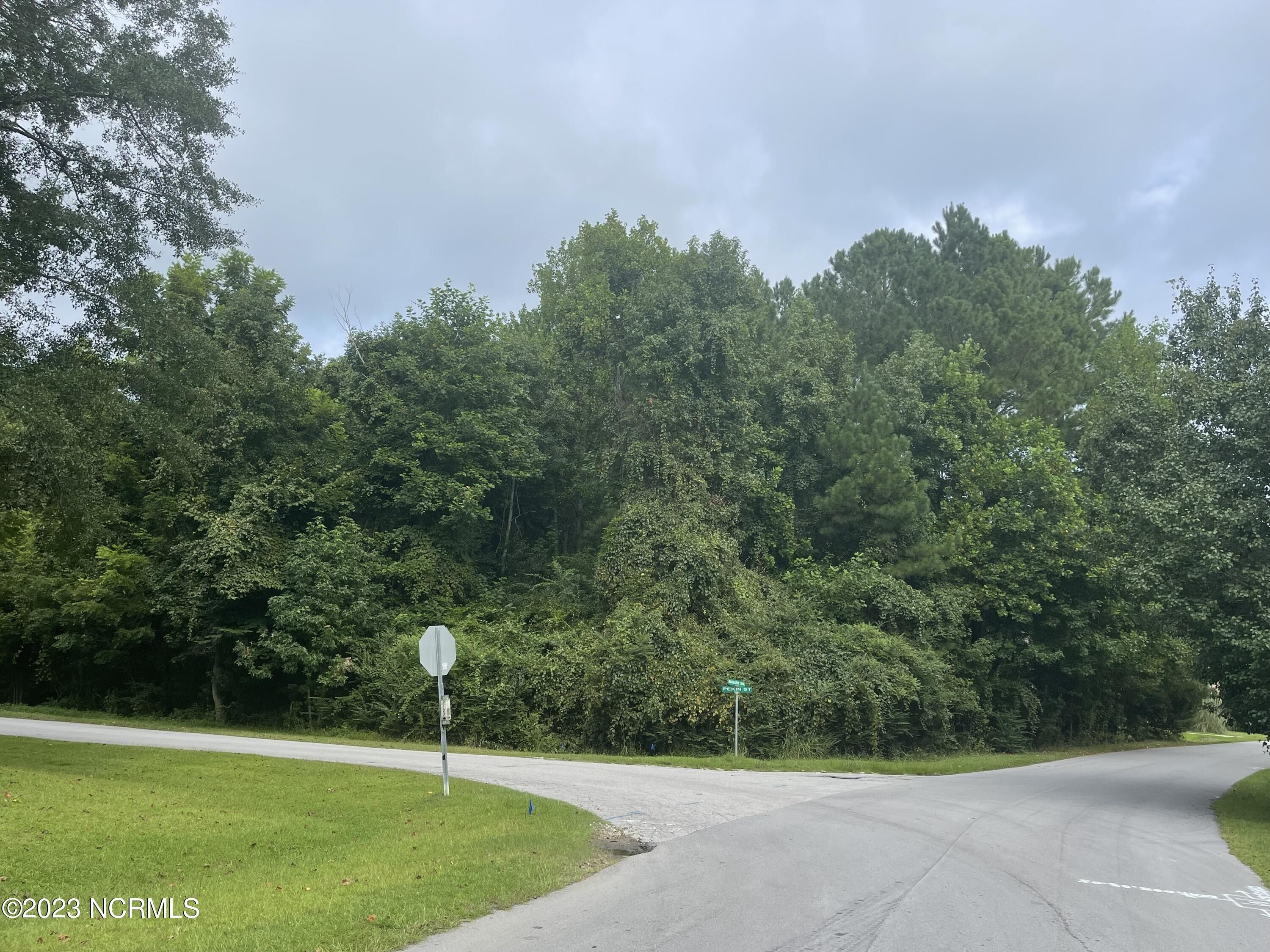 0.35 Acres, 919 Mandarin Trail, Jacksonville, NC 28540 Land and Farm