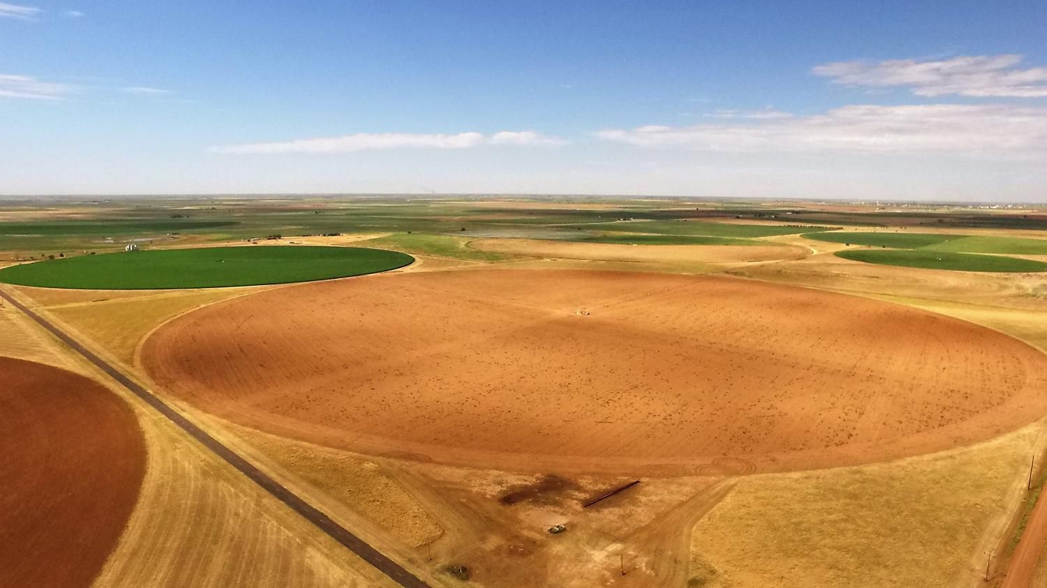 497.33 acres in Olton, TX, 79064 Land and Farm