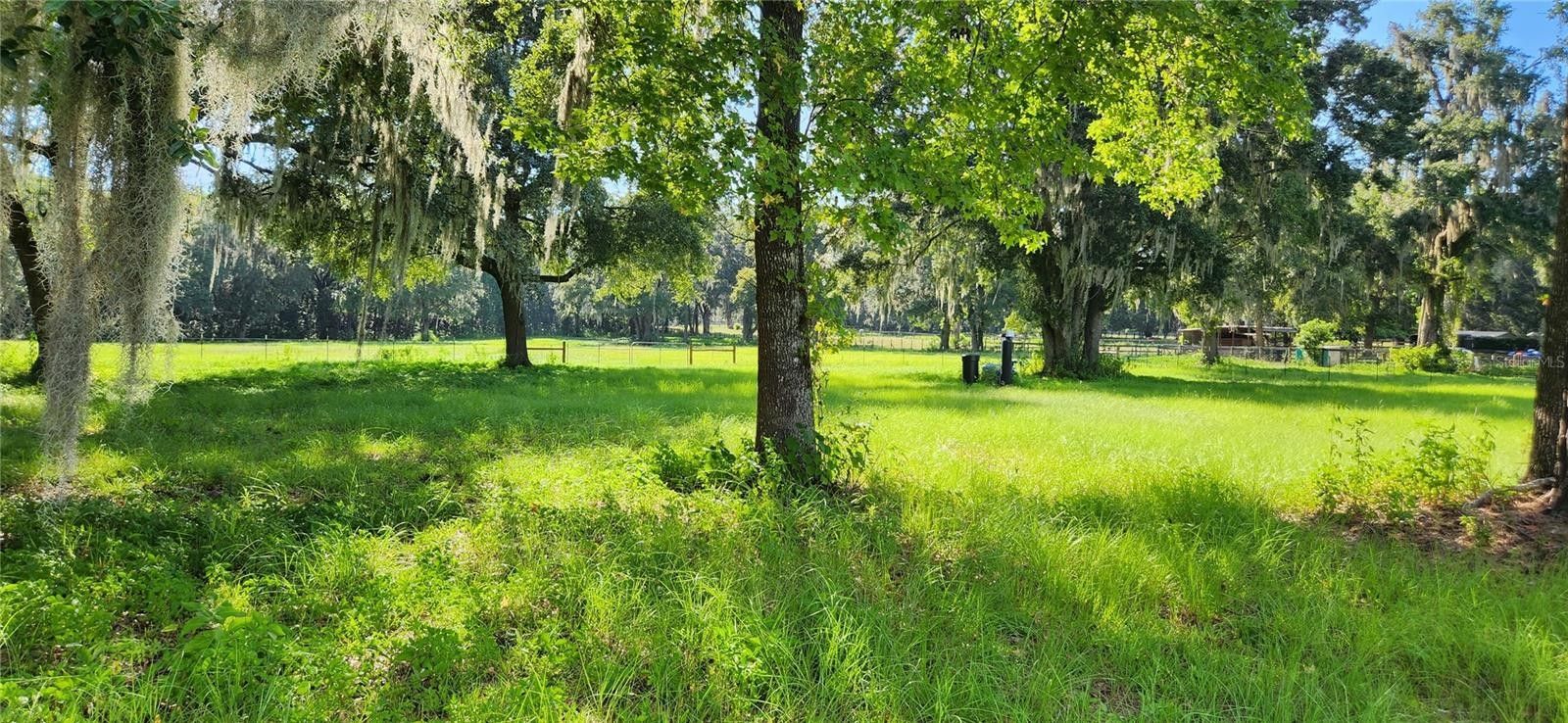 1 Acres, 11720 NW HIGHWAY 225, Reddick, FL 32686 Land and Farm